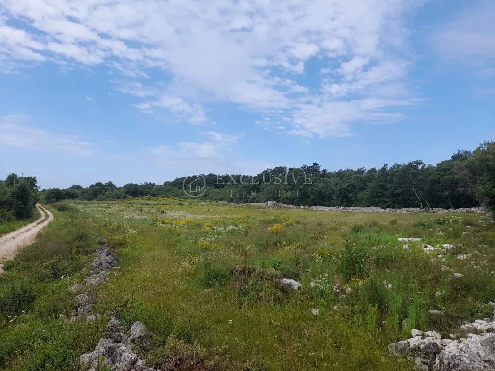 Rovinj, poljoprivredno zemljište 21206 m2 sa ucrtanom kućicom 14 m2 - PRILIKA!!!