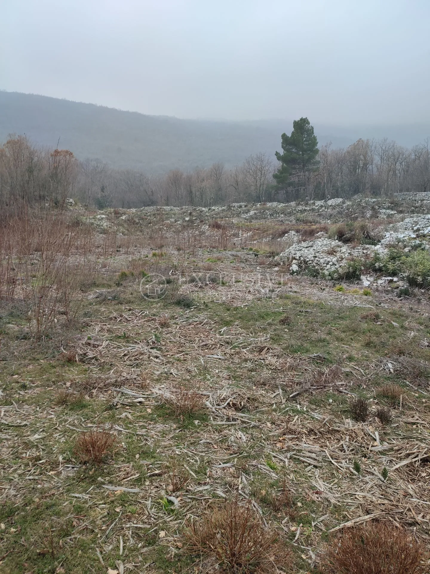 brseč - martina - očišćeno gradjevinsko zemljište od 4240m2 - slika 2