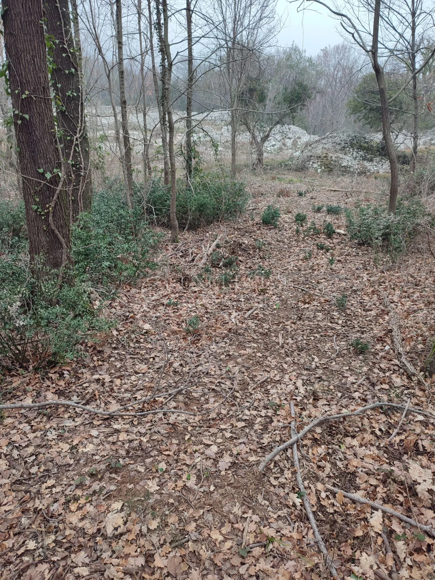brseč - martina - očišćeno gradjevinsko zemljište od 4240m2 - slika 13