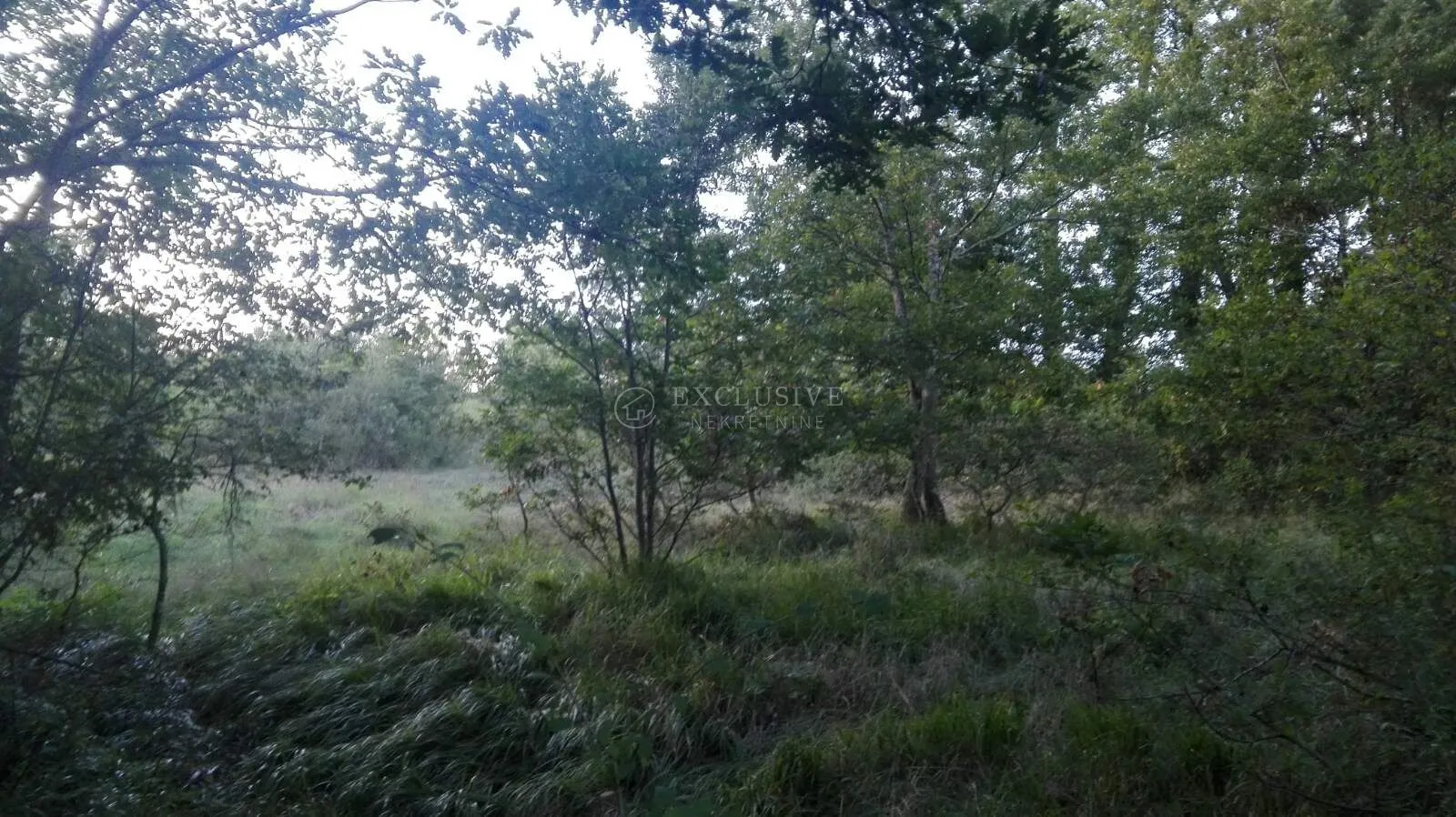 istra - zemljište 27000 m2 - slika 2