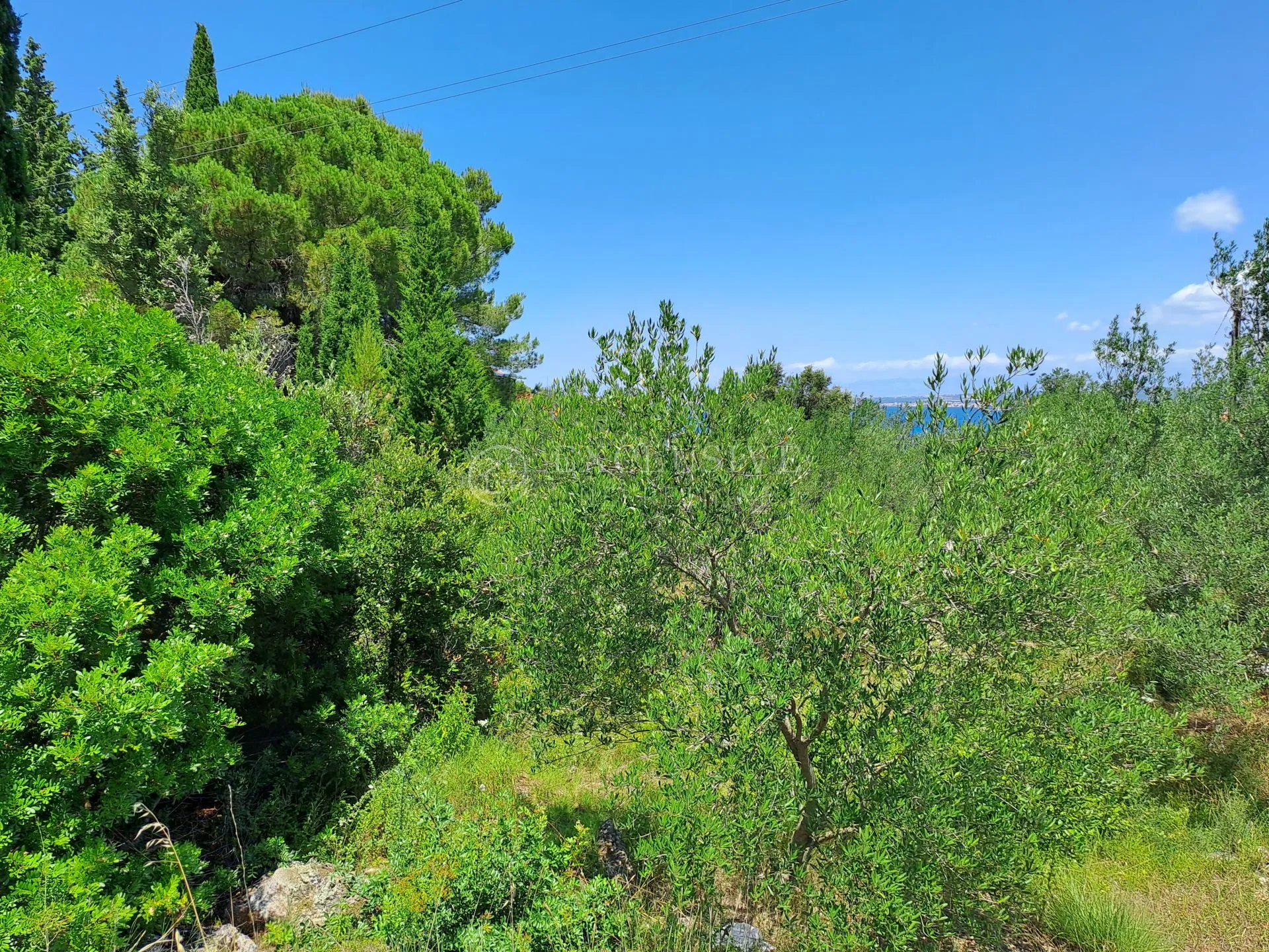 pašman, ždrelac, građevinski teren 2000 m2 - slika 4