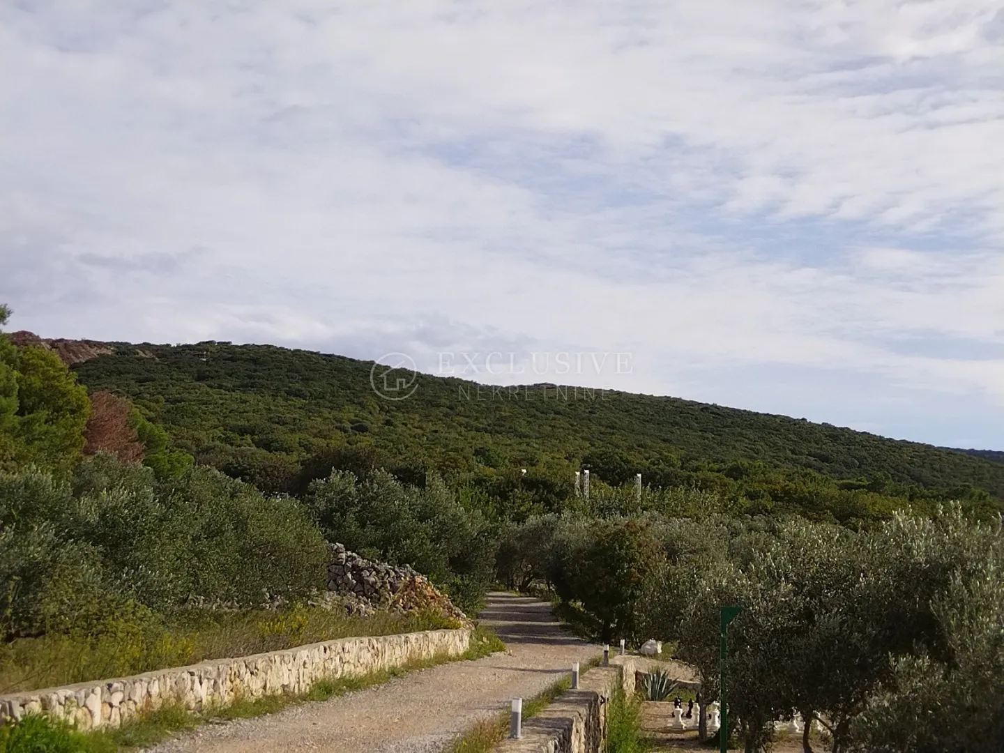 punat, otok krk, poljoprivredno zemljište na atraktivnoj lokaciji 140 m od mora!!! - slika 19