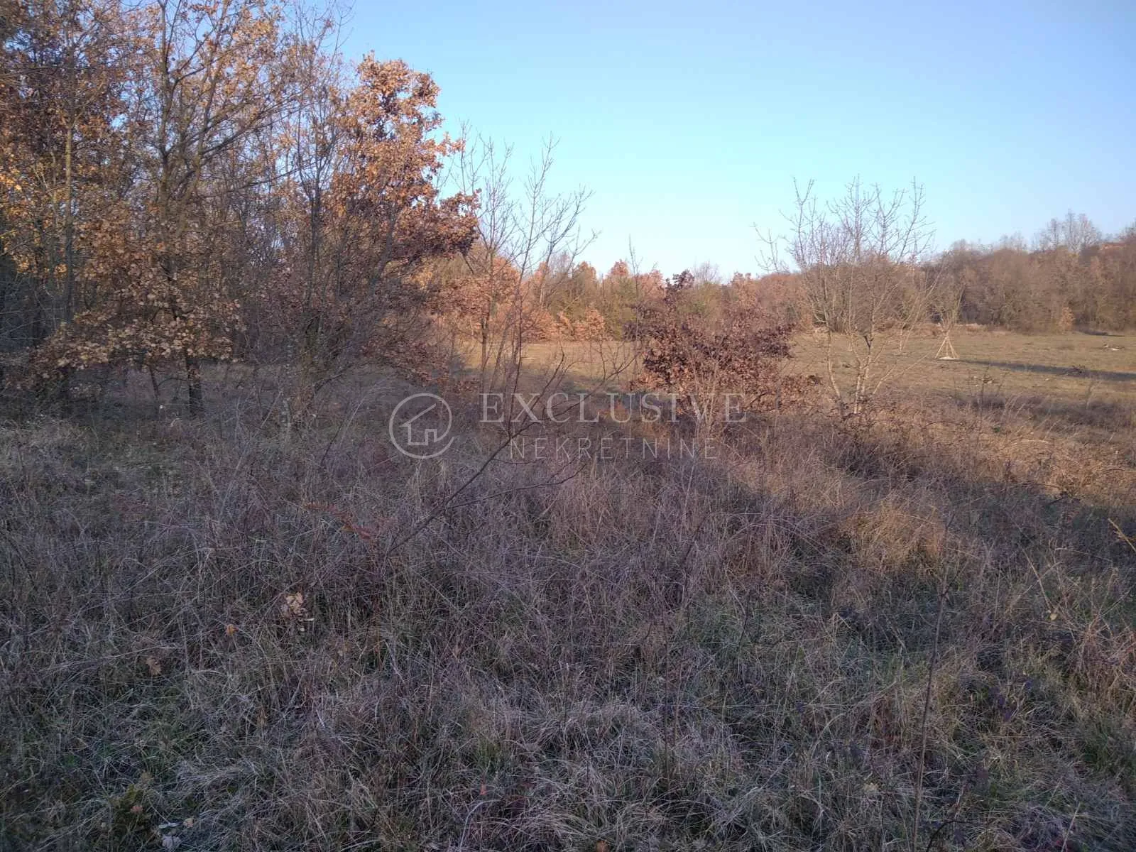 istra - valtura - poljoprivredno zemljište od 14500m2 - slika 6