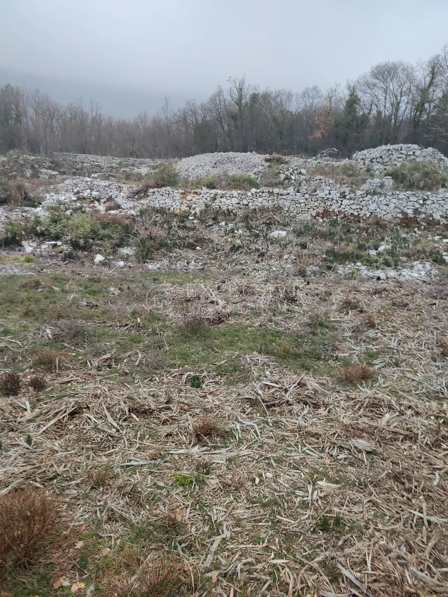 brseč - martina - očišćeno gradjevinsko zemljište od 4240m2 - slika 3