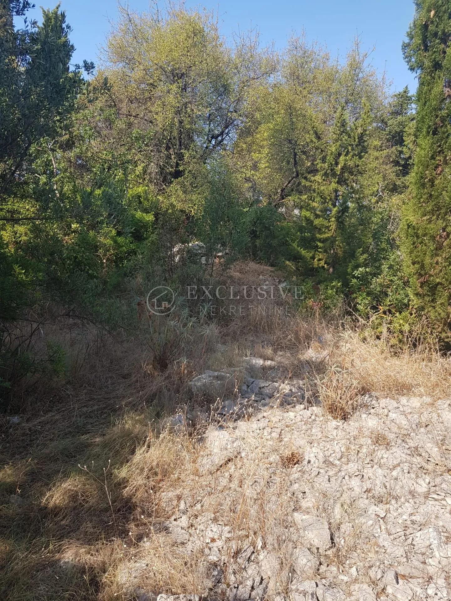 šolta, građevinski teren 1343 m2 sa otvorenim pogledom na more - slika 4
