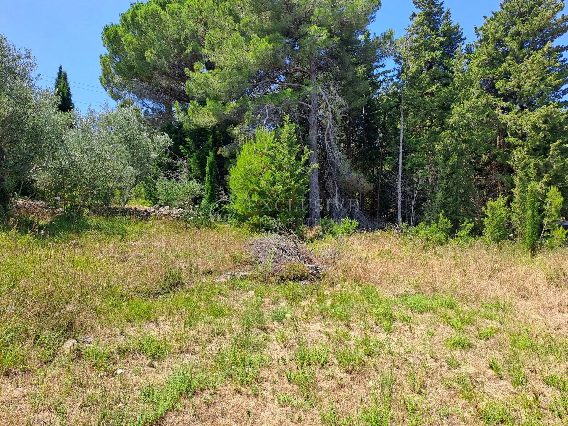 pašman, ždrelac, građevinski teren 2000 m2 - slika 7