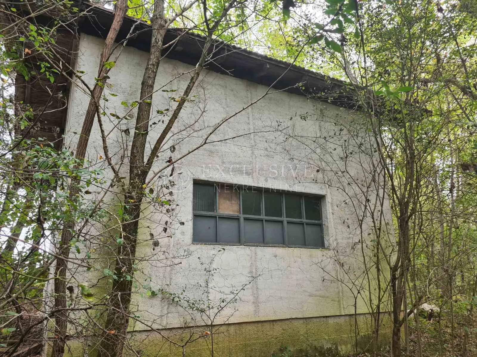 bosiljevo, građevinsko zemljište 1517,79 m2 sa kućom 100m2 i poljoprivrednim 7732,84 m2 - slika 2
