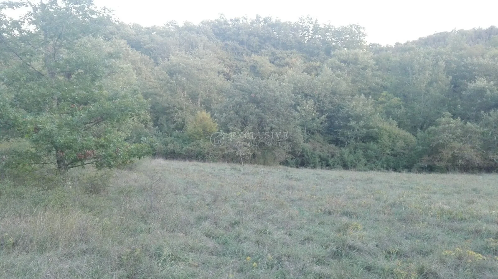 istra - zemljište 27000 m2 - slika 3
