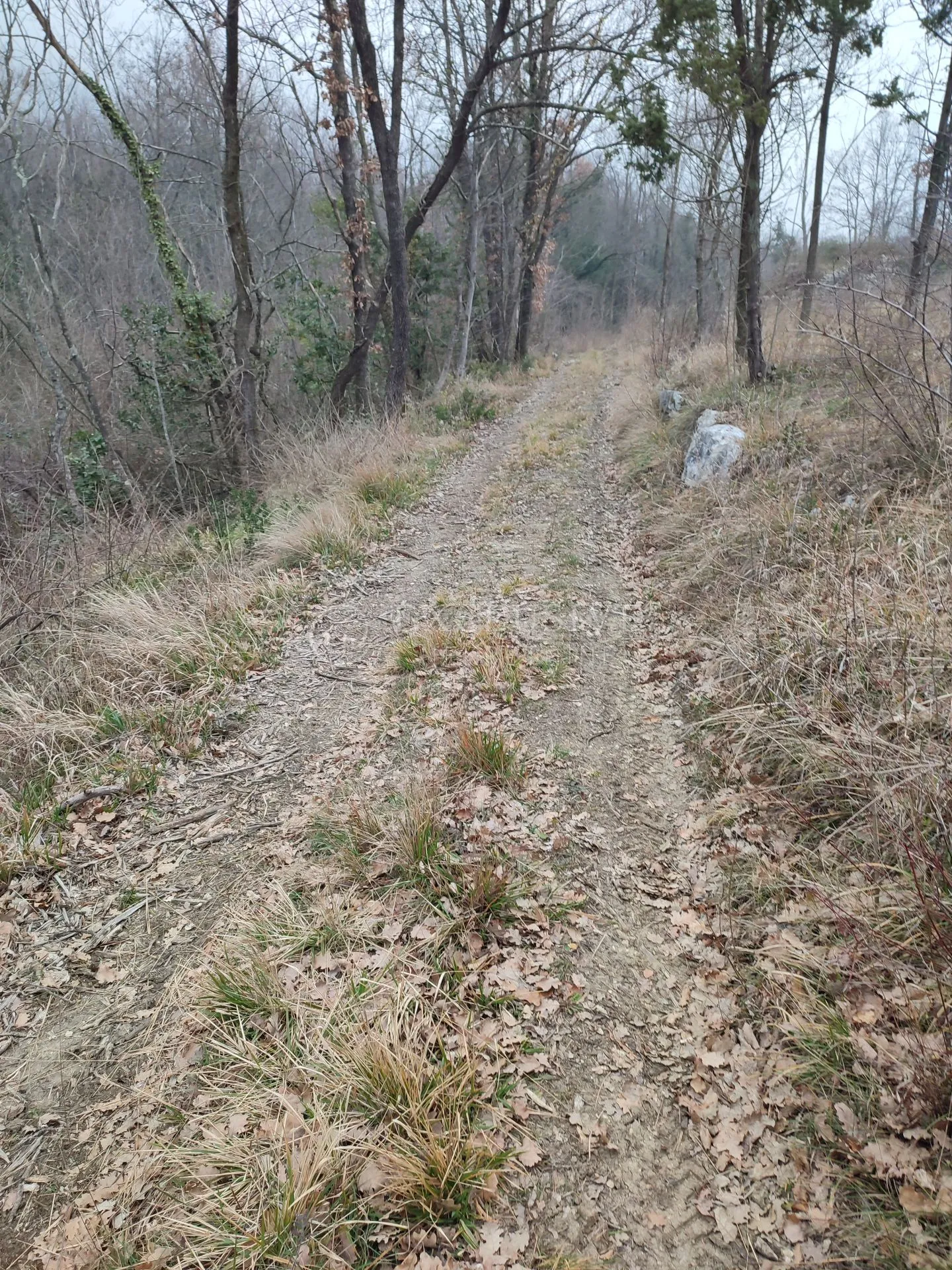 brseč - martina - očišćeno gradjevinsko zemljište od 4240m2 - slika 15