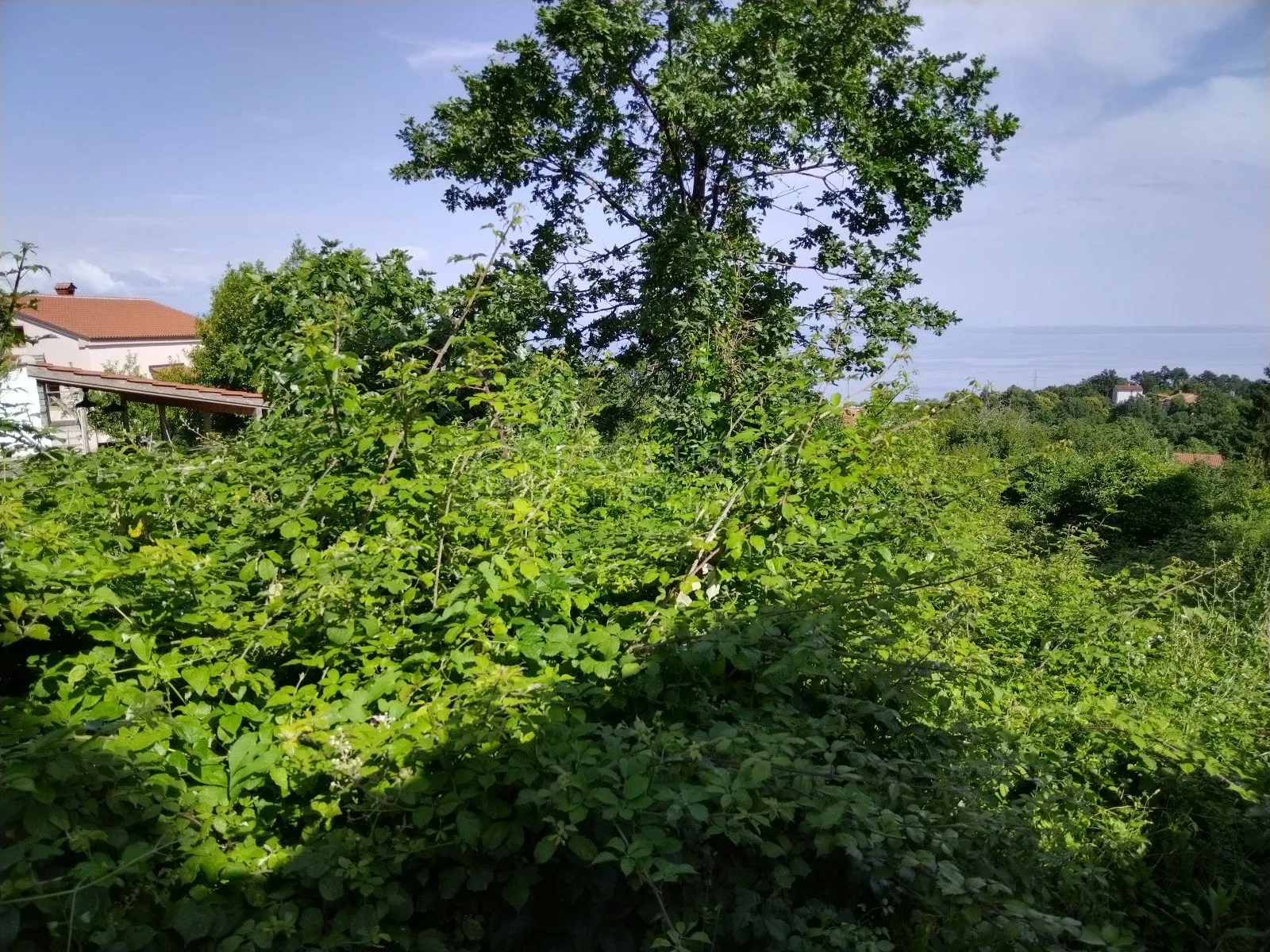 opatija zaleđe - veprinac!!!građevinski teren sa započetom gradnjom - pogled na more!!! - slika 3