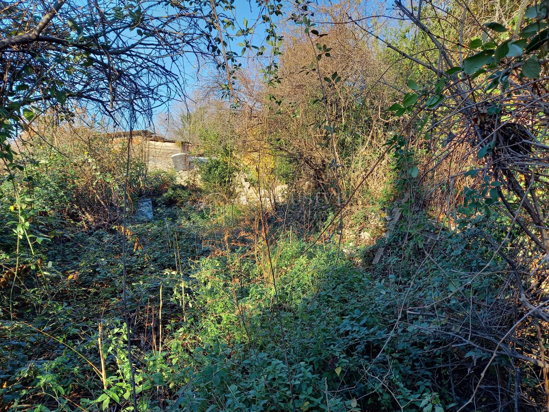 kantrida, građevinsko zemljište 1100 m2 s otvorenim pogledom na more - slika 9