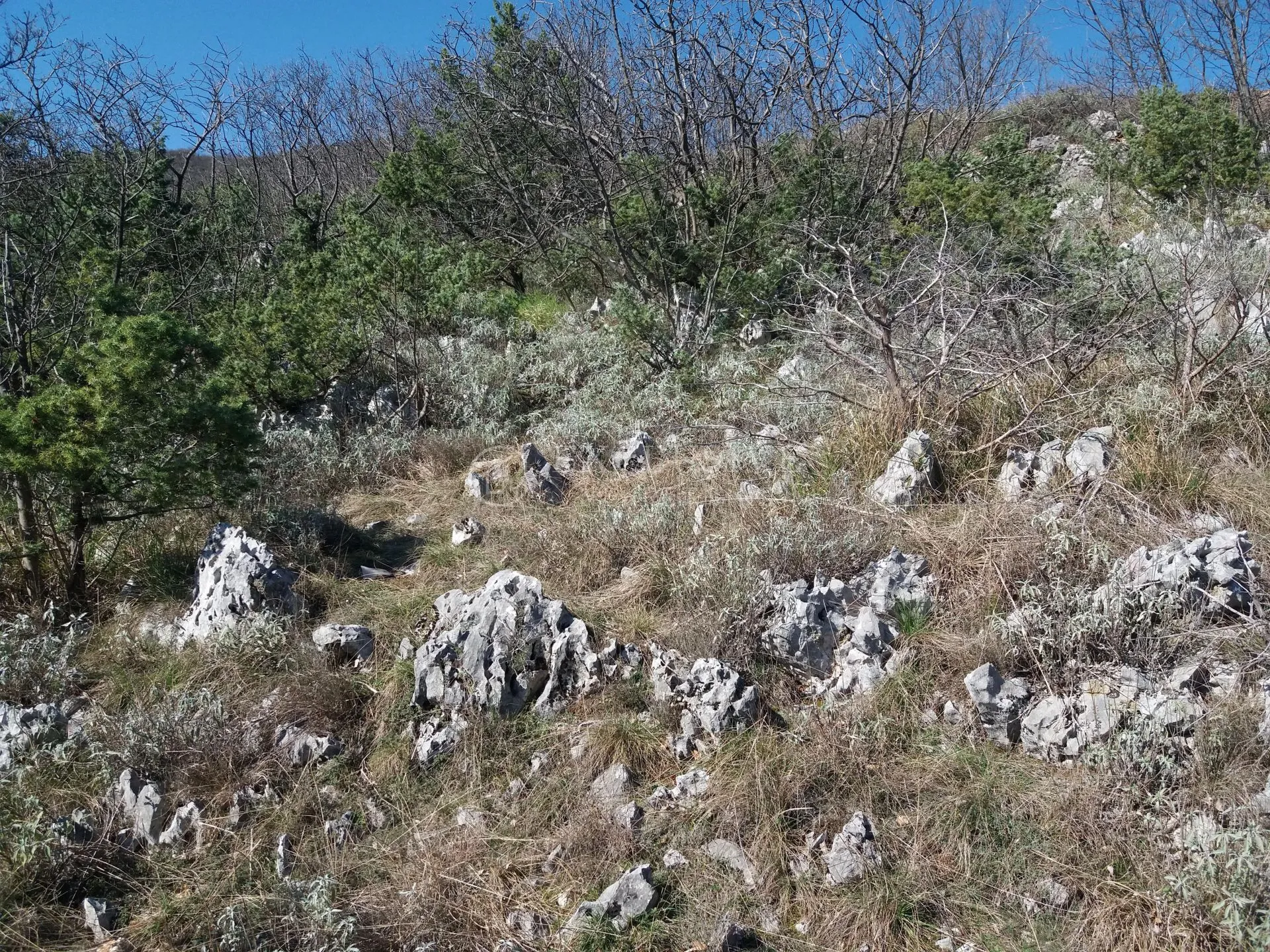 brseč-gradjevinsko zemljište od 3489m2 sa izuzetnim pogledom na more - slika 3