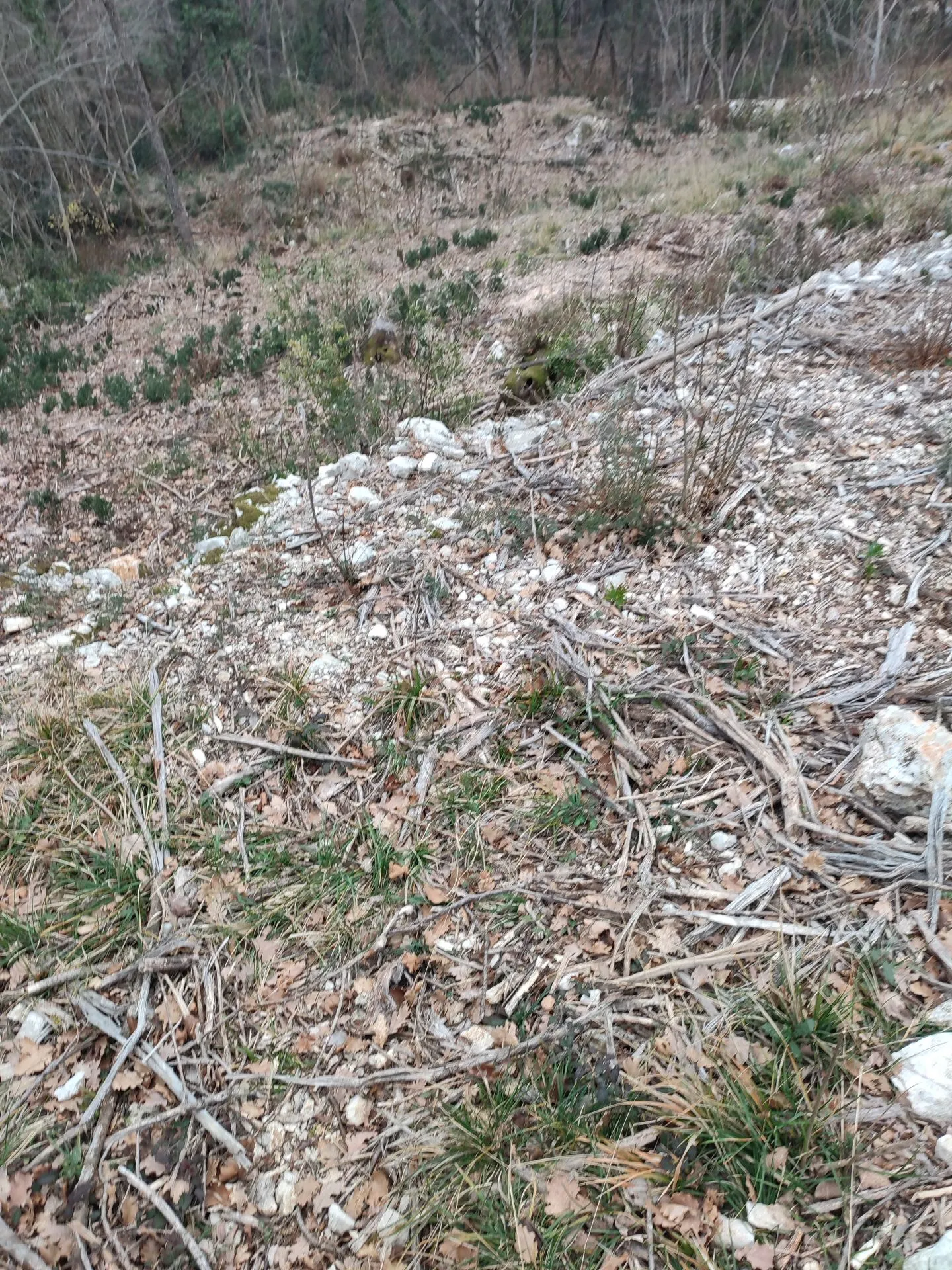 brseč - martina - očišćeno gradjevinsko zemljište od 4240m2 - slika 8