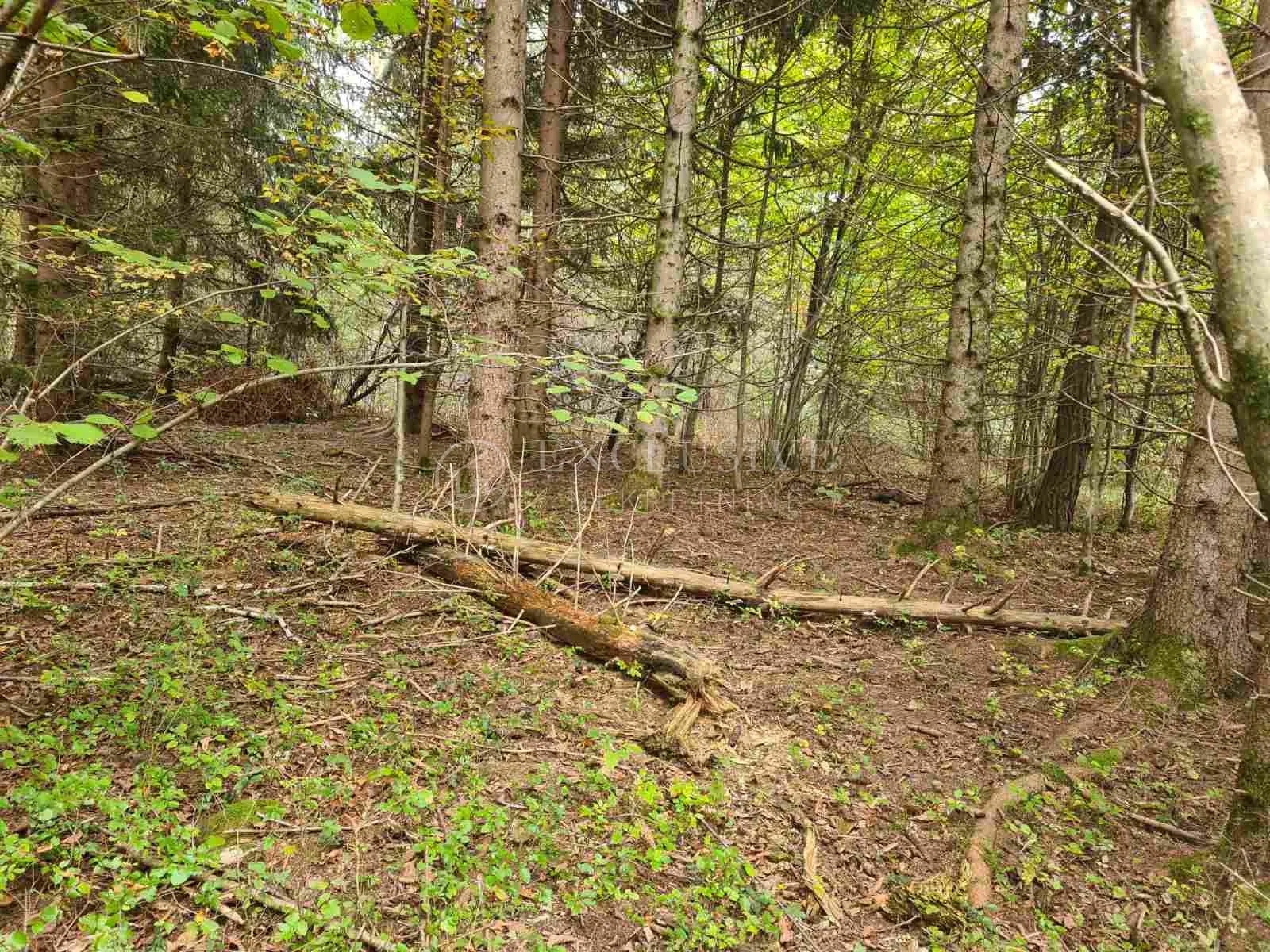 bosiljevo, građevinsko zemljište 1517,79 m2 sa kućom 100m2 i poljoprivrednim 7732,84 m2 - slika 14