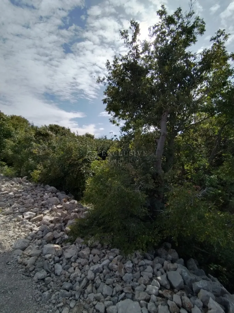punat, otok krk, poljoprivredno zemljište na atraktivnoj lokaciji 140 m od mora!!! - slika 4