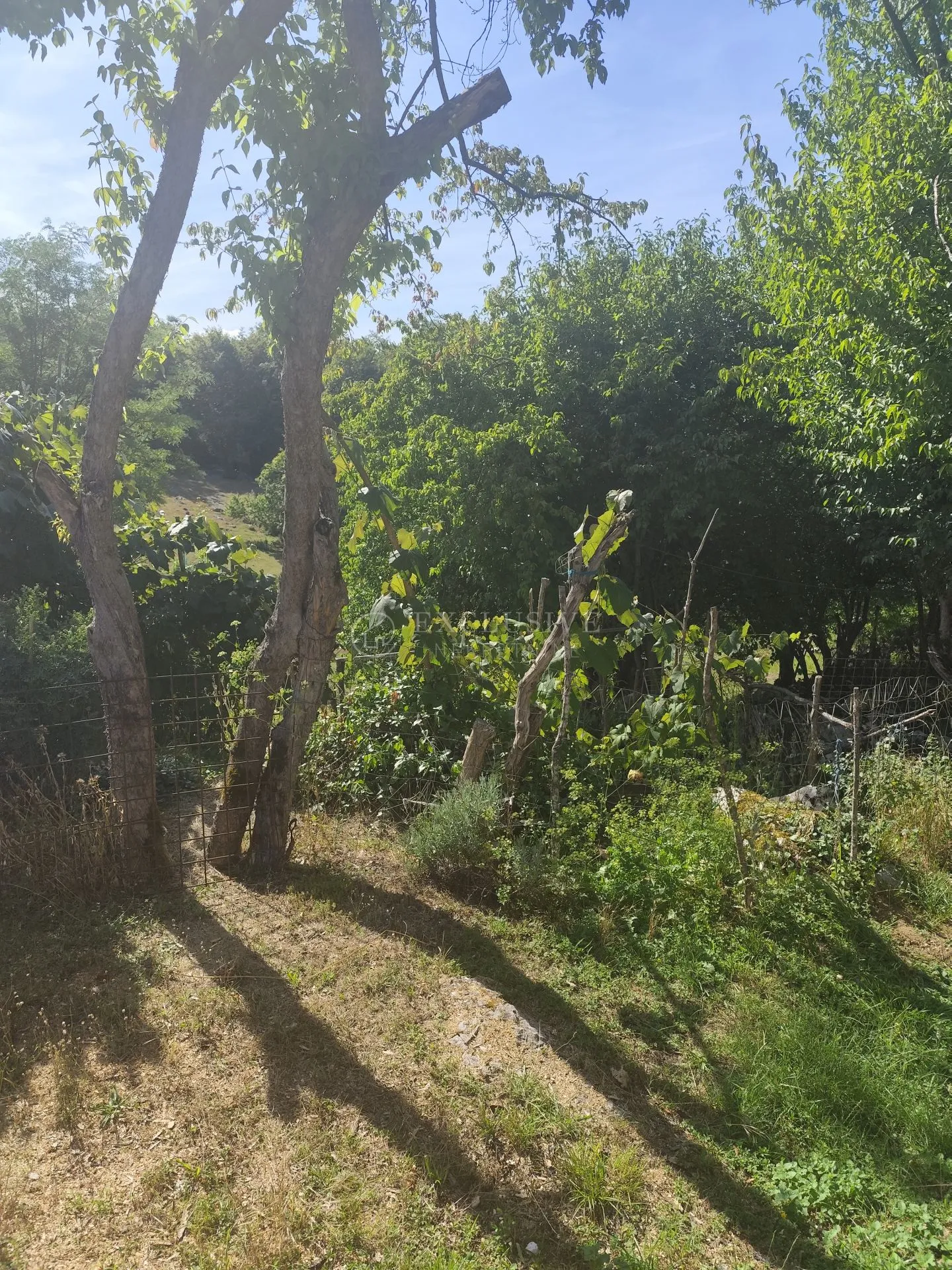 erdelj - duga gora - kuća sa terenom od 1824m2 - slika 12