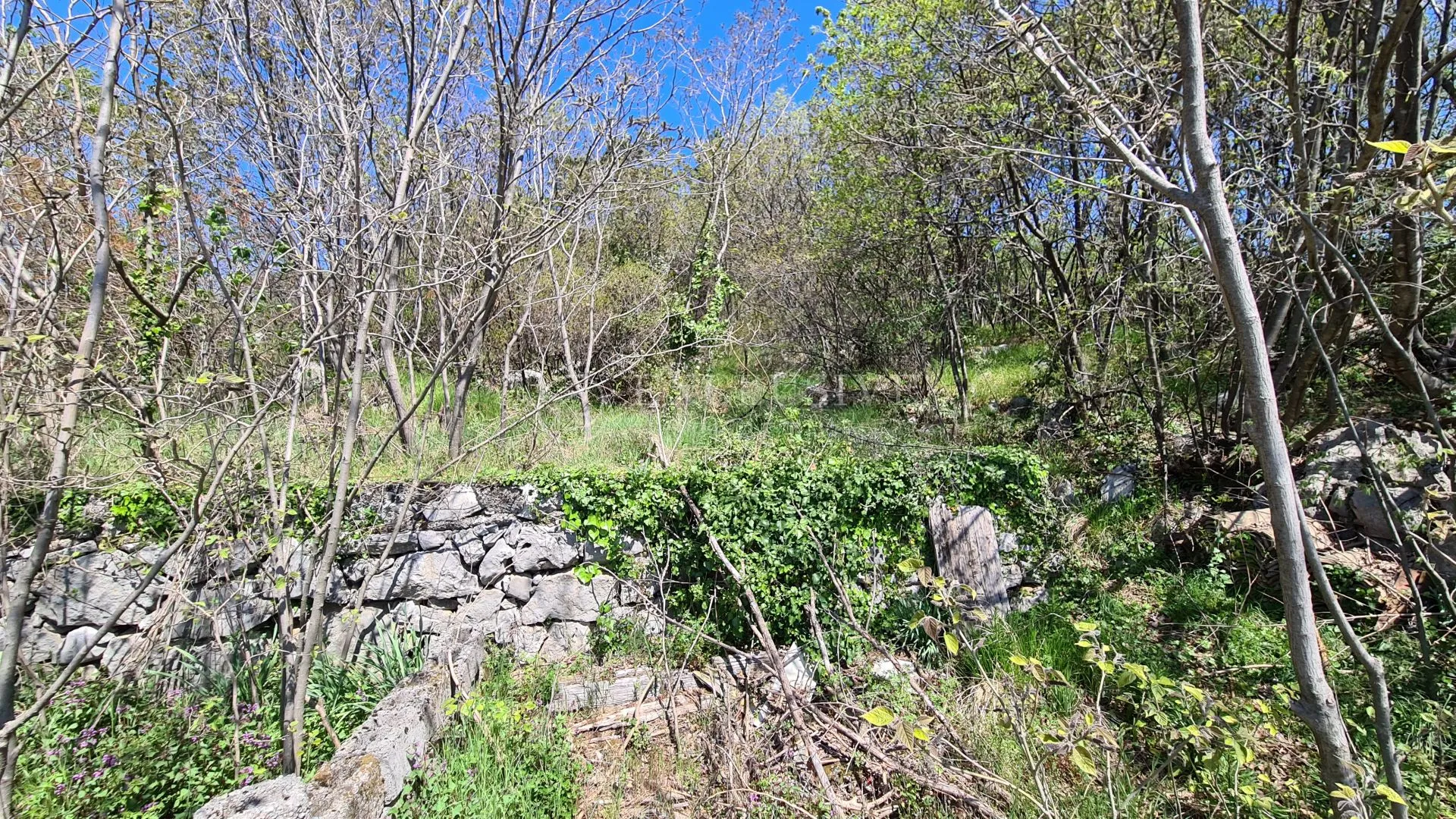 pavlovac- odlično građevinsko zemljište s prekrasnim pogledom na more - slika 6