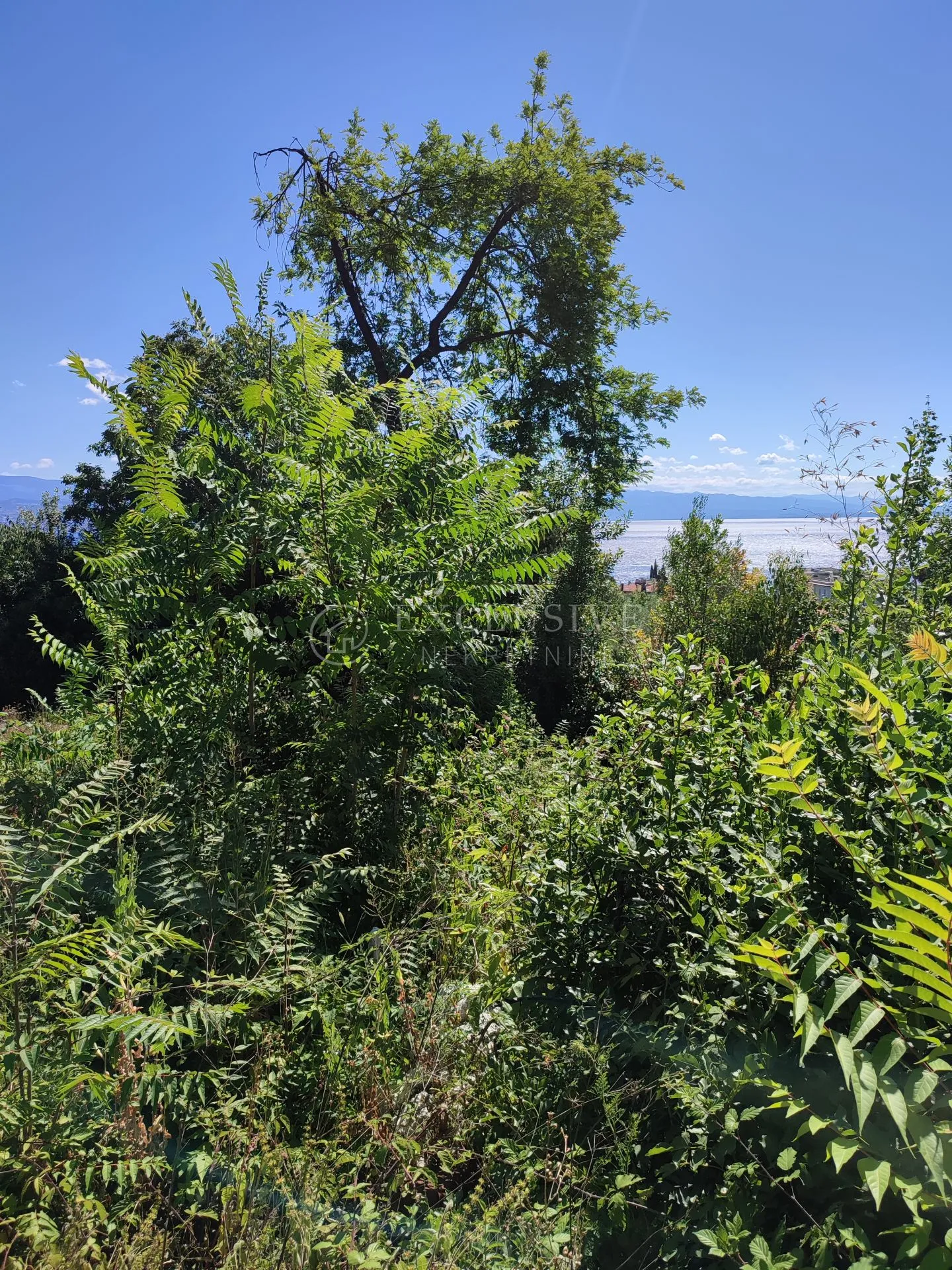 lovran - oprić - 3526m2 - gradjevinsko zemljište - slika 3