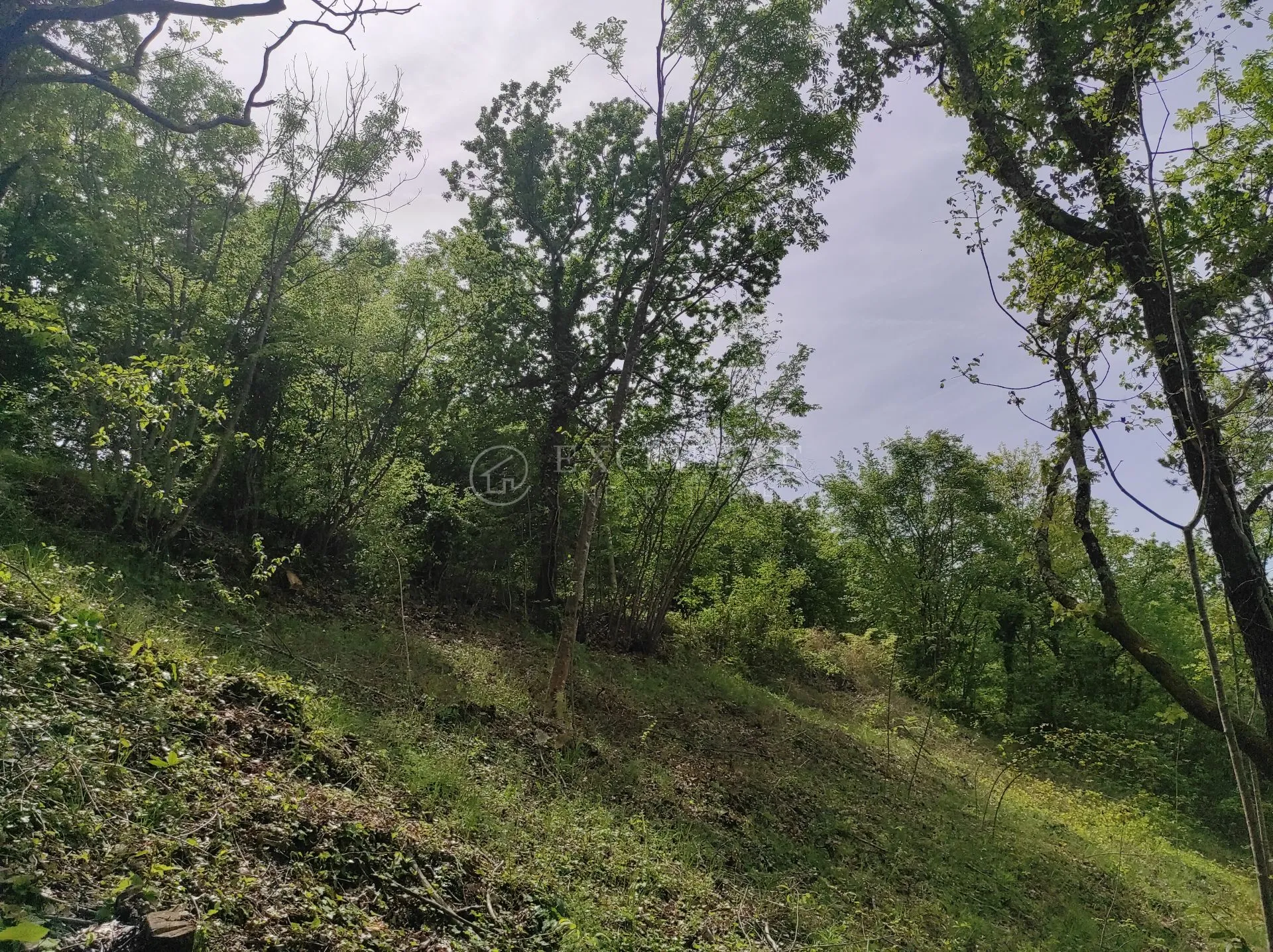 istra - teren u građevnoj zoni - slika 3