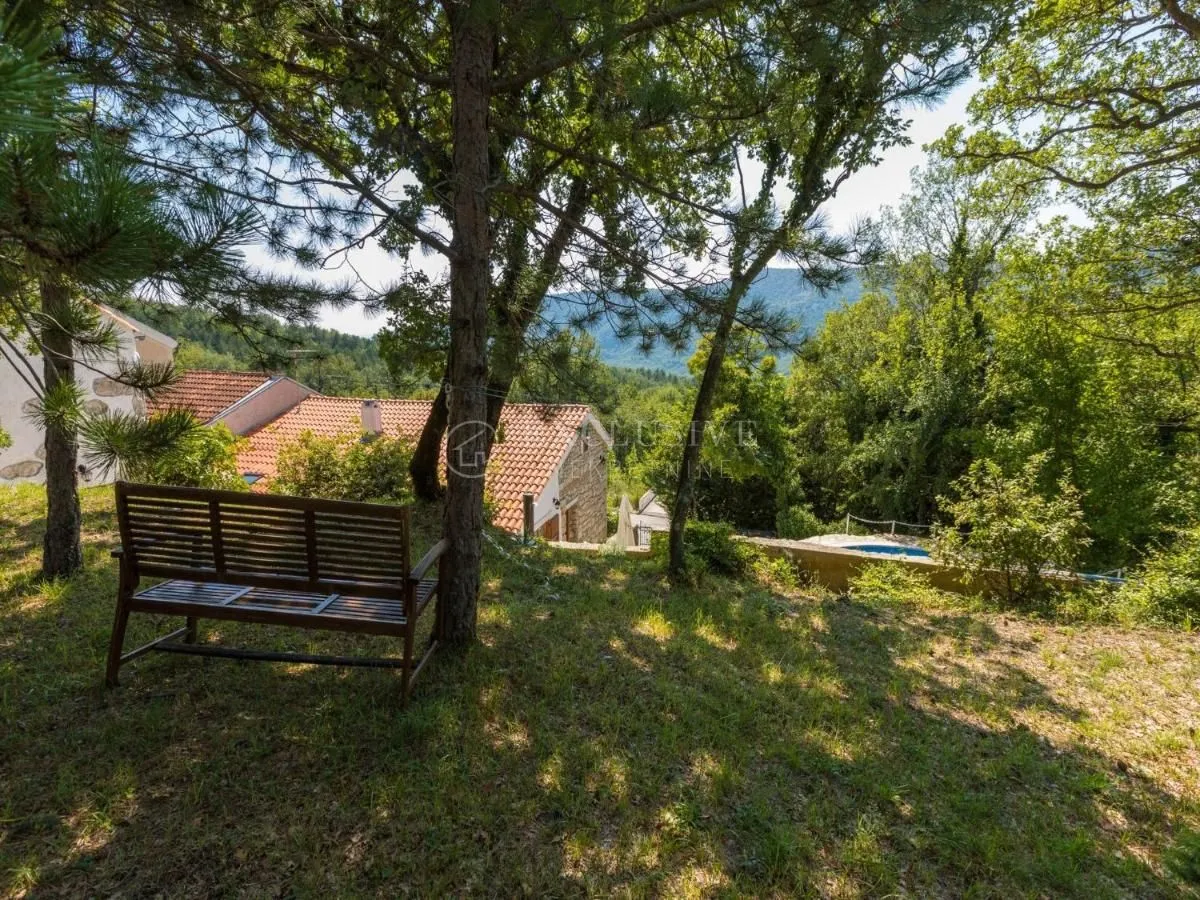 crikvenica, zaleđe - dvije kamene kuće s bazenom - slika 24