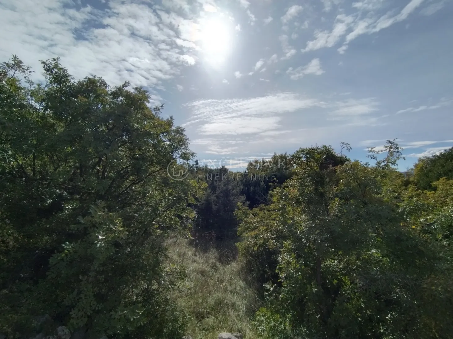 punat, otok krk, poljoprivredno zemljište na atraktivnoj lokaciji 140 m od mora!!! - slika 6