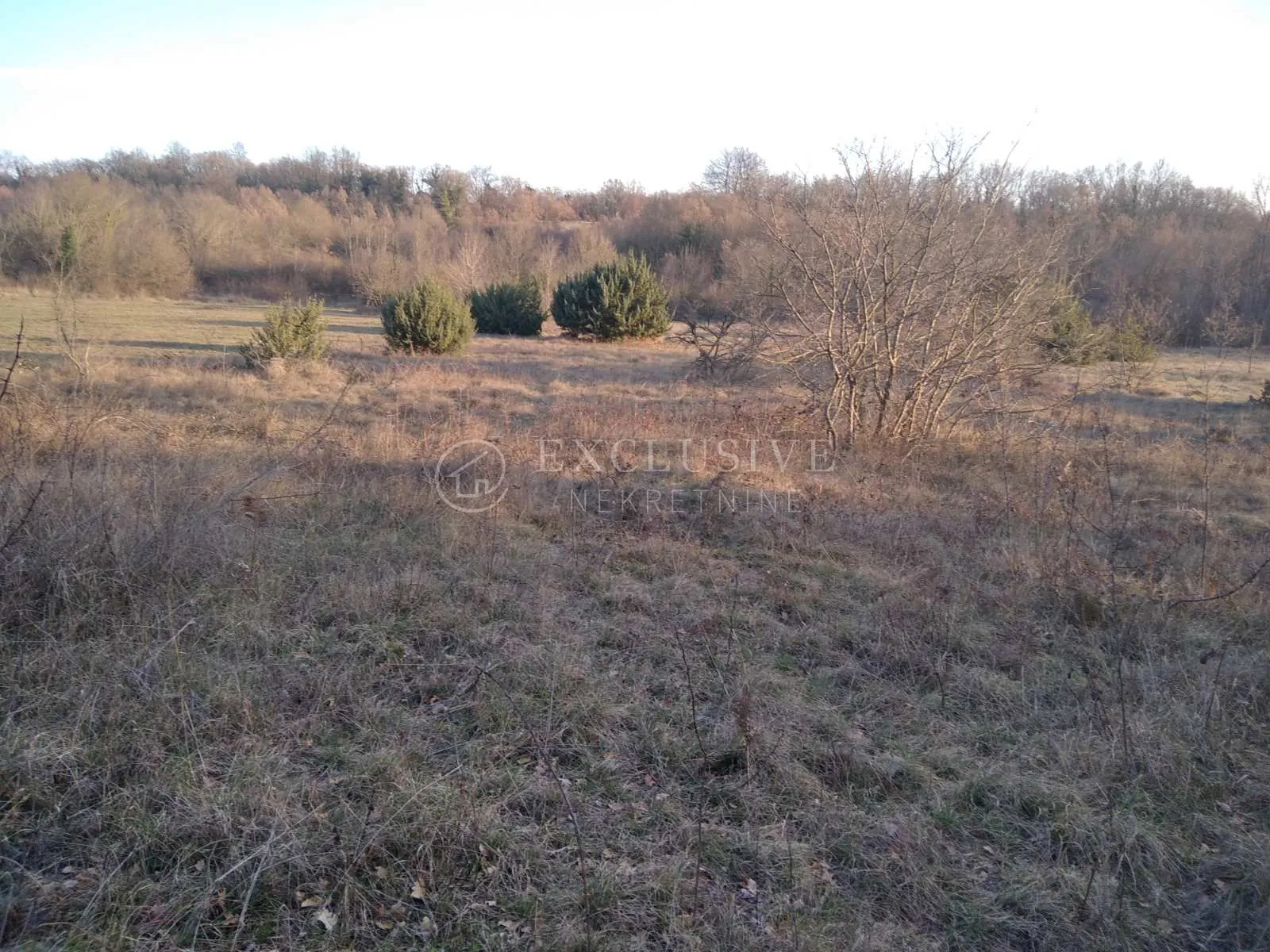 istra - valtura - poljoprivredno zemljište od 14500m2 - slika 2
