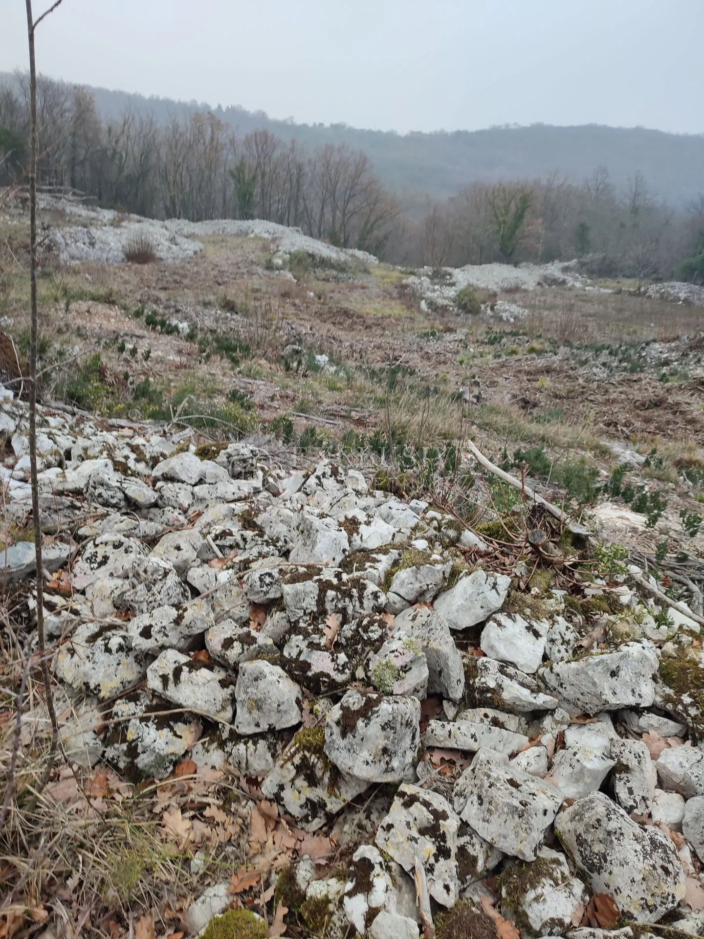 brseč - martina - očišćeno gradjevinsko zemljište od 4240m2 - slika 12