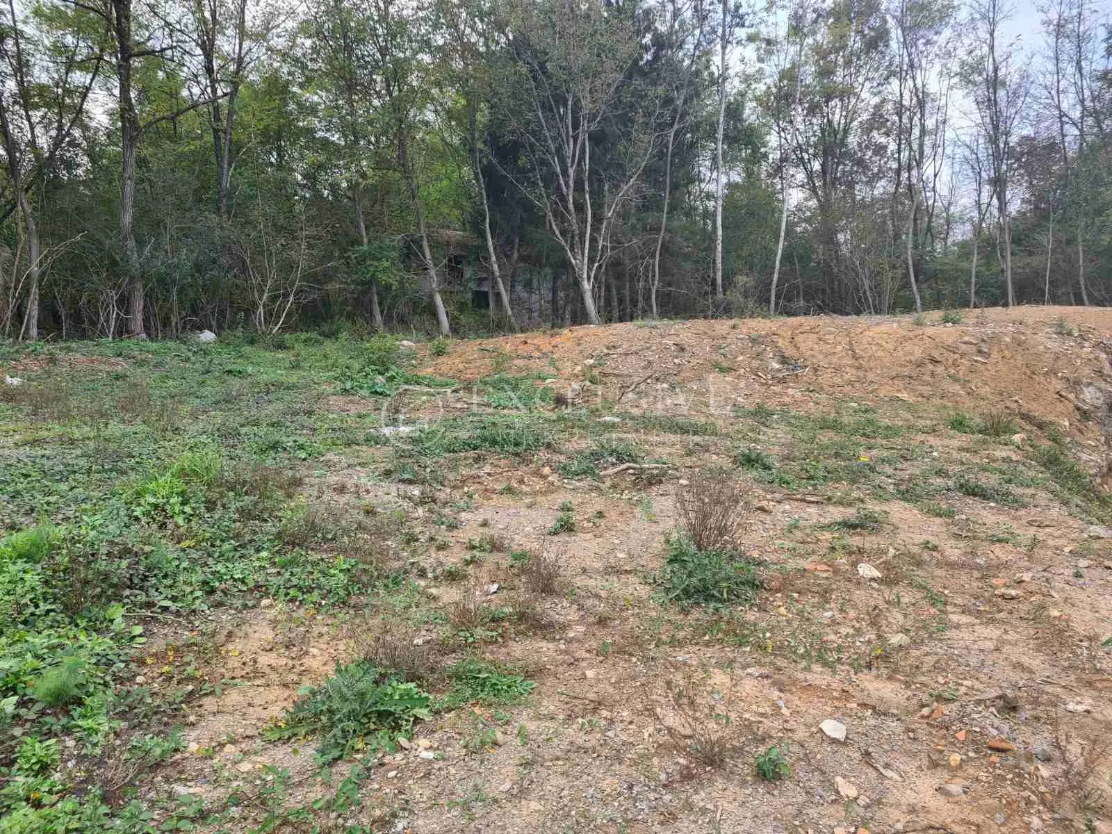 bosiljevo, građevinsko zemljište 1517,79 m2 sa kućom 100m2 i poljoprivrednim 7732,84 m2 - slika 11