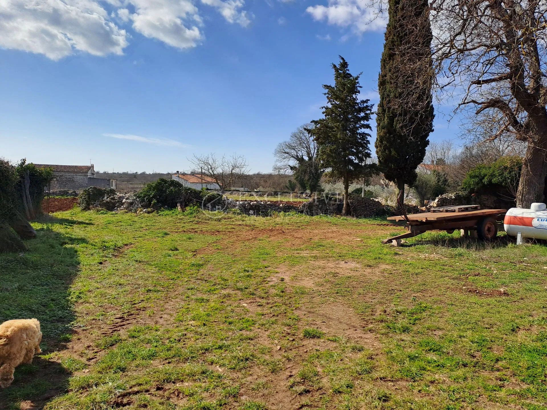 glavani, kuće starine 4 objekta sa 2000 m2 - slika 3