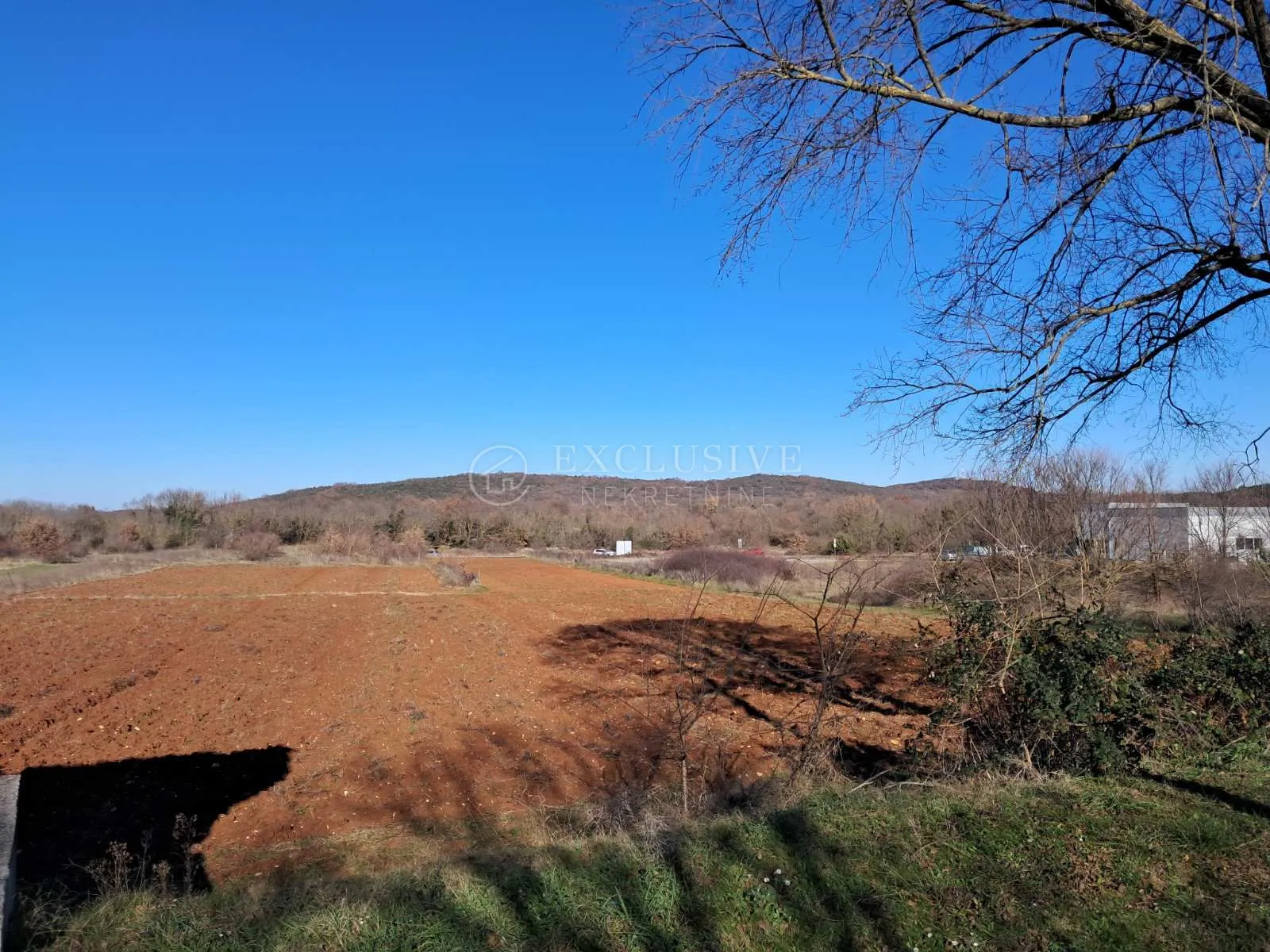 rovinj, rovinjsko selo, građevinsko-poslovno zemljište 10000 m2 - slika 6