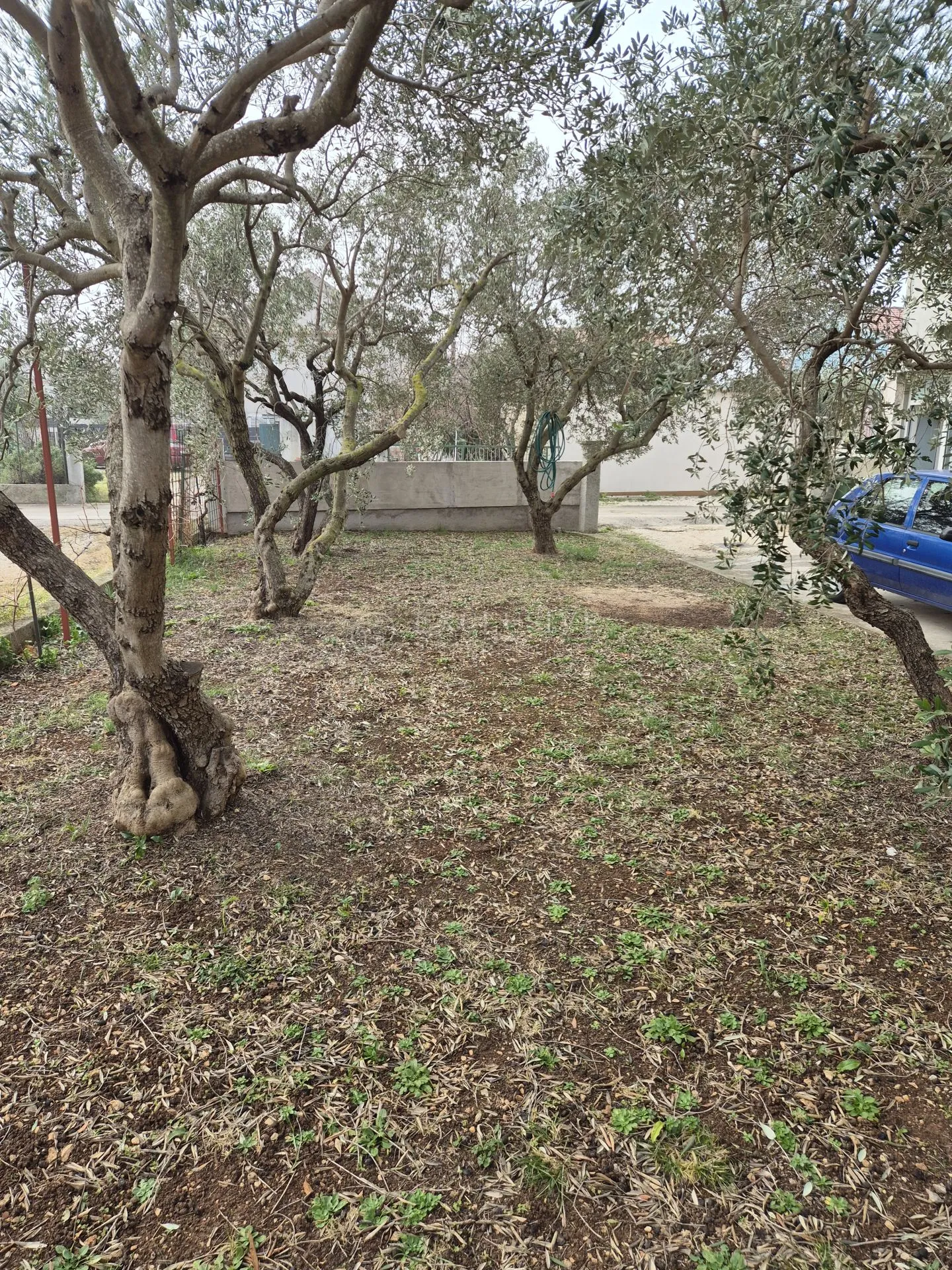 bibinje, kuća 186 m2 sa 4 stana i 470 m2 okućnice - slika 10