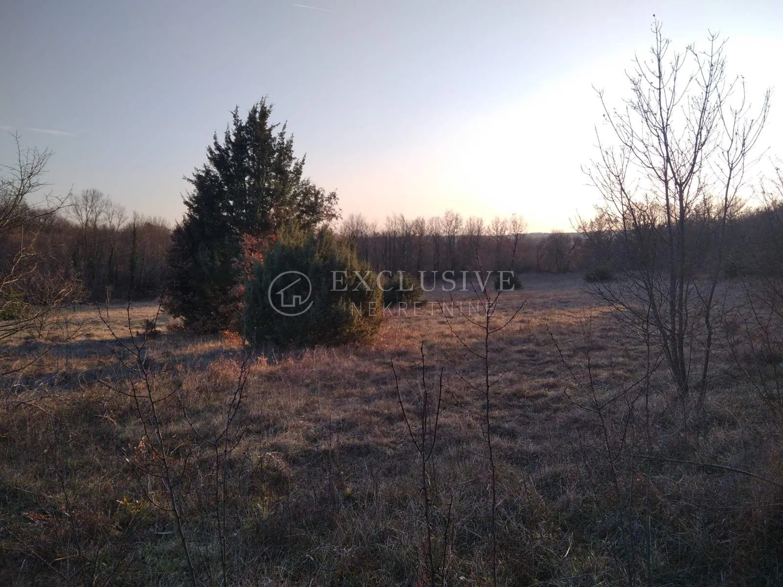 istra - valtura - poljoprivredno zemljište od 14500m2 - slika 5