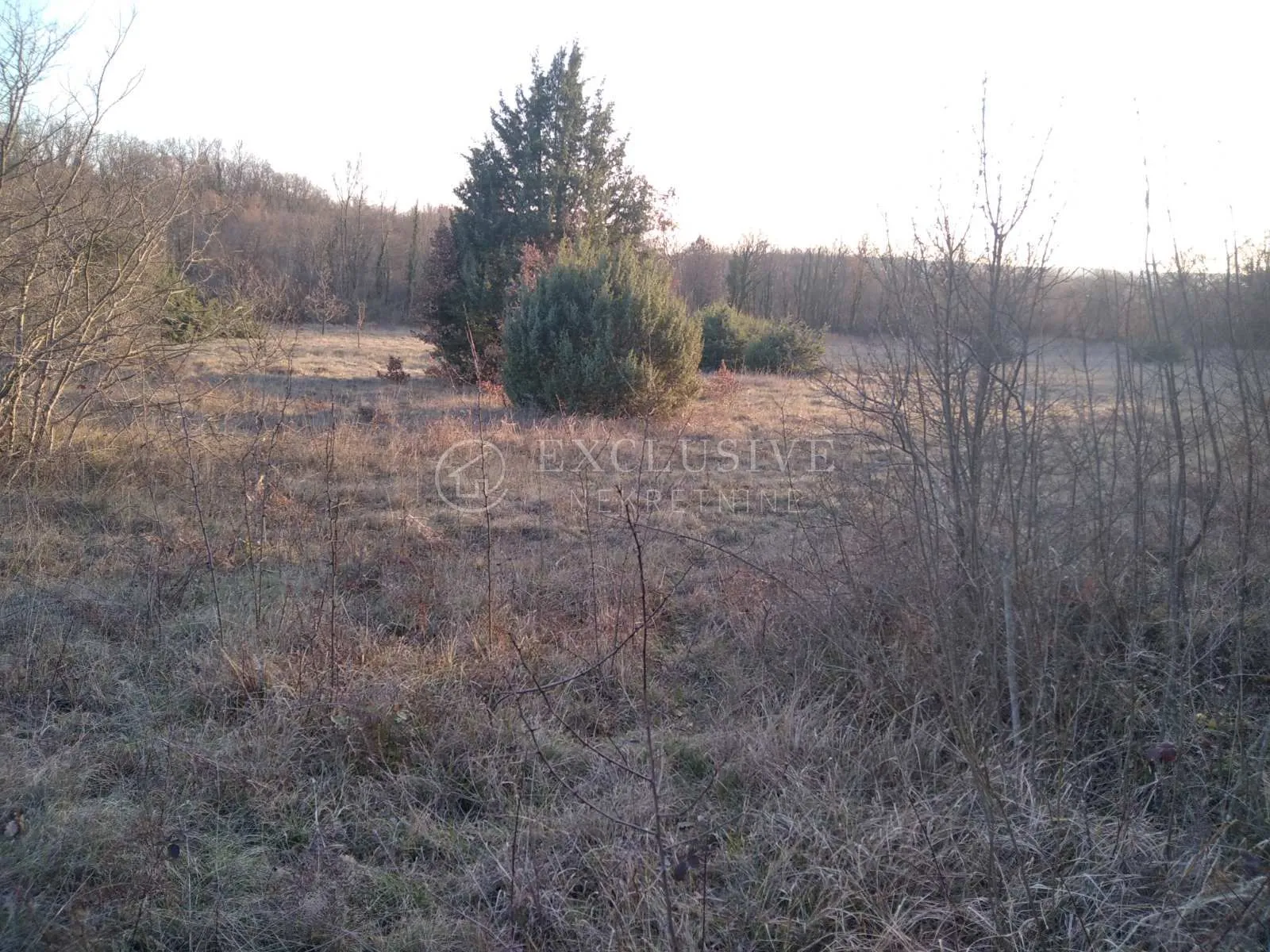 ISTRA - VALTURA - POLJOPRIVREDNO ZEMLJIŠTE OD 14500m2 - Valtura, Ližnjan