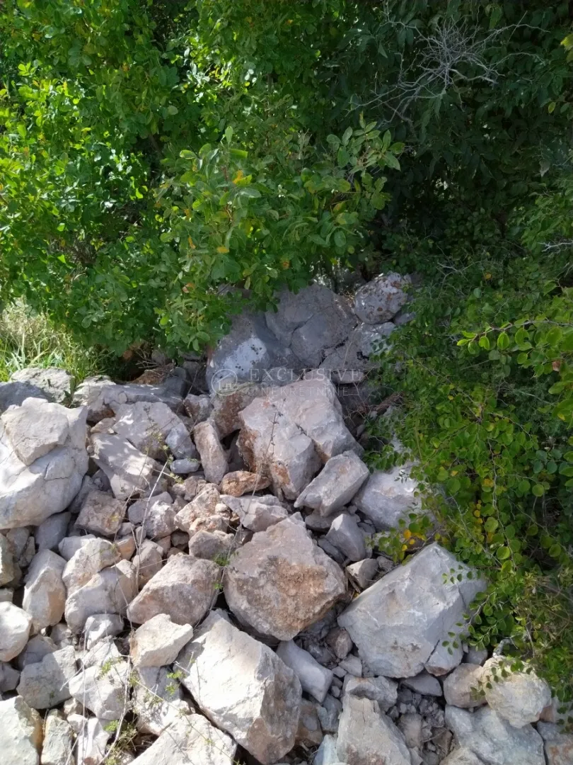 punat, otok krk, poljoprivredno zemljište na atraktivnoj lokaciji 140 m od mora!!! - slika 3