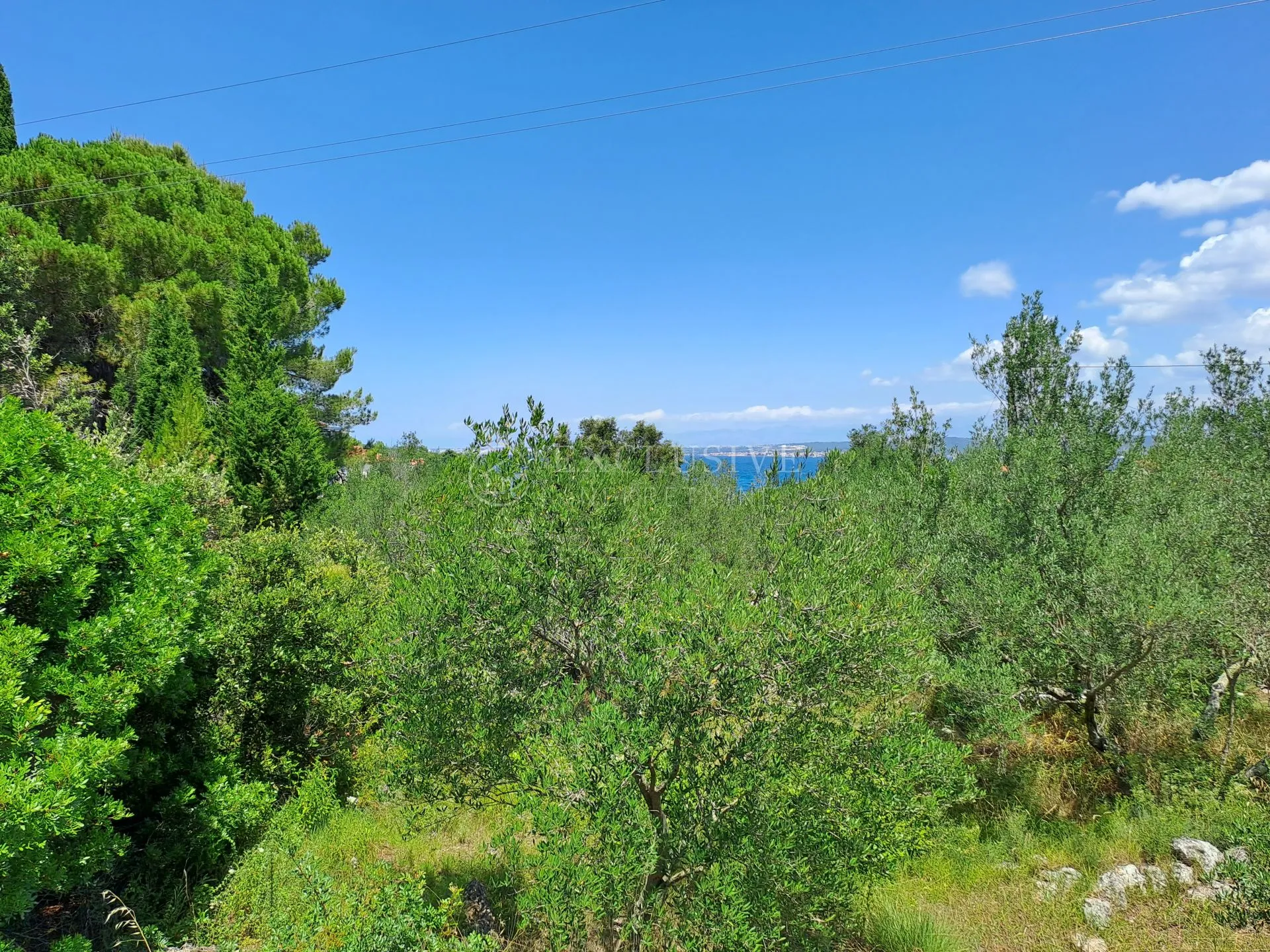 pašman, ždrelac, građevinski teren 2000 m2 - slika 3