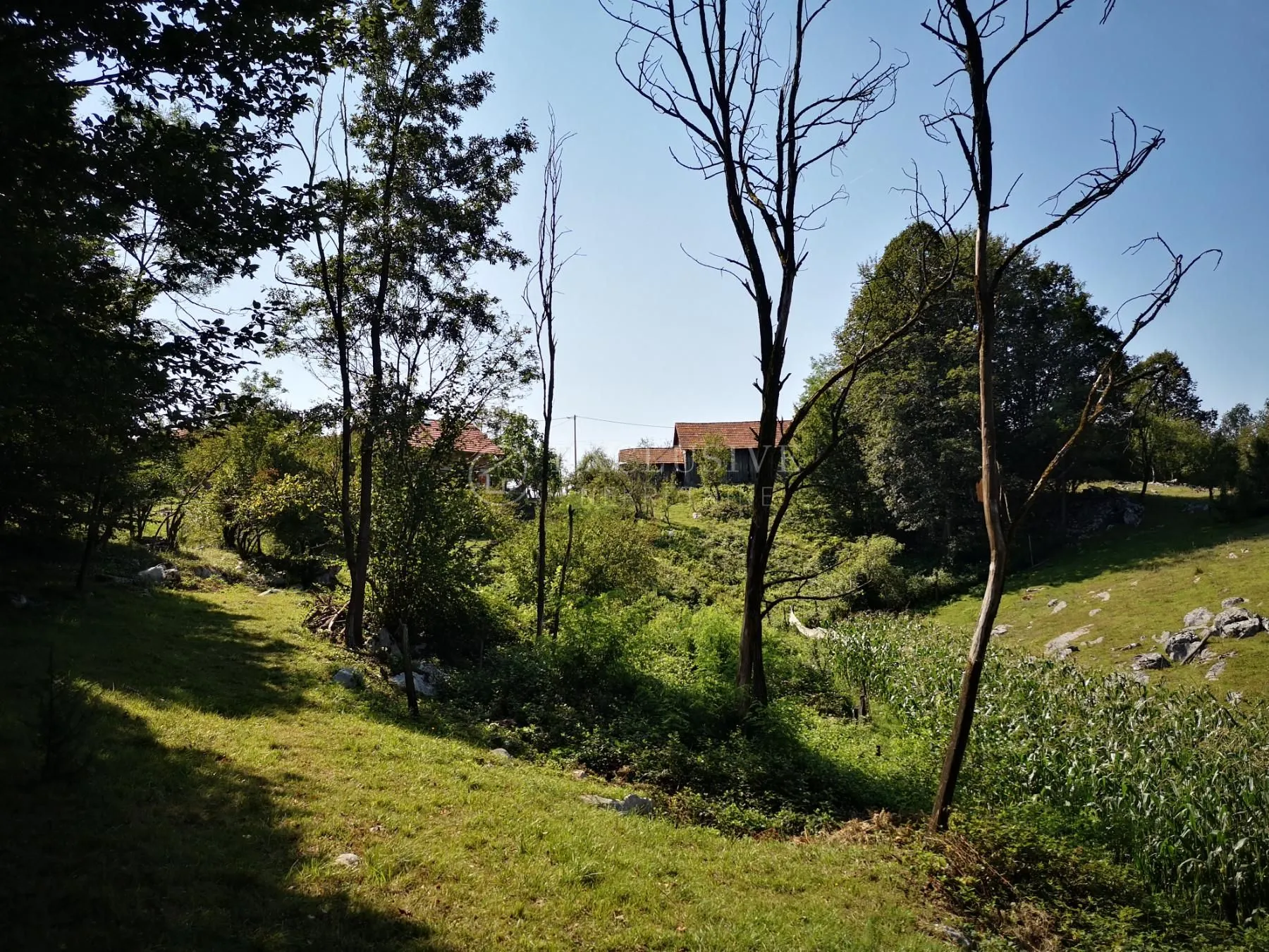 erdelj - duga gora - kuća sa terenom od 1824m2 - slika 25