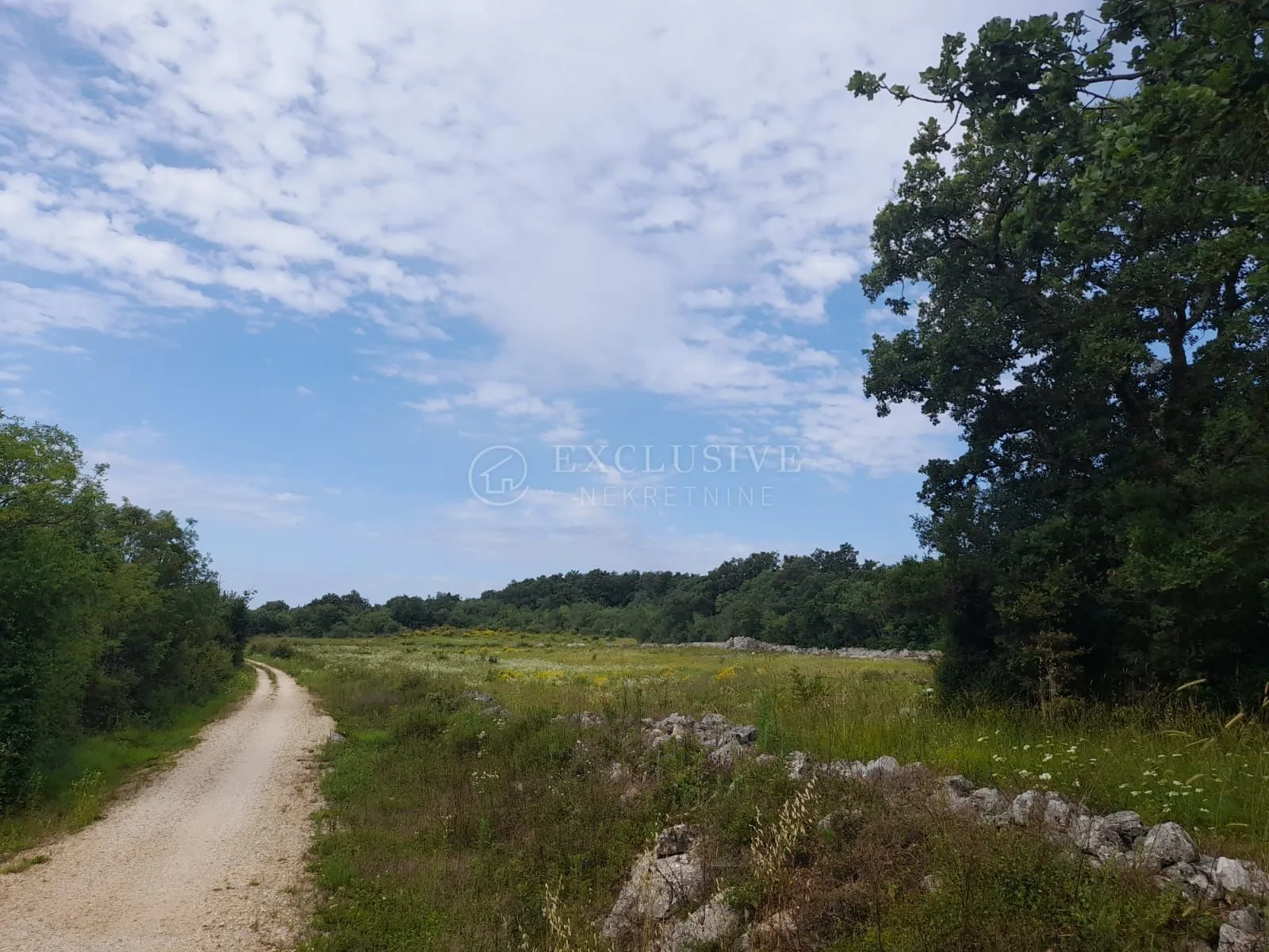 rovinj, poljoprivredno zemljište 21206 m2 sa ucrtanom kućicom 14 m2 - prilika!!! - slika 10
