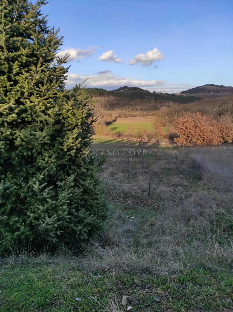 istra - karojba - gradjevinsko zemljiše pravilnog oblika - slika 5