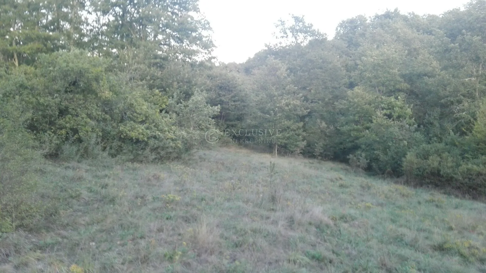 istra - zemljište 27000 m2 - slika 5
