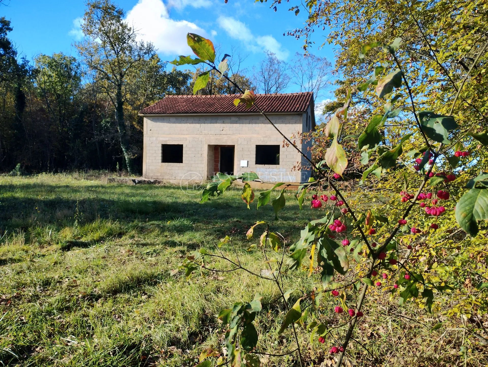 istra - kuća s velikim terenom - slika 3