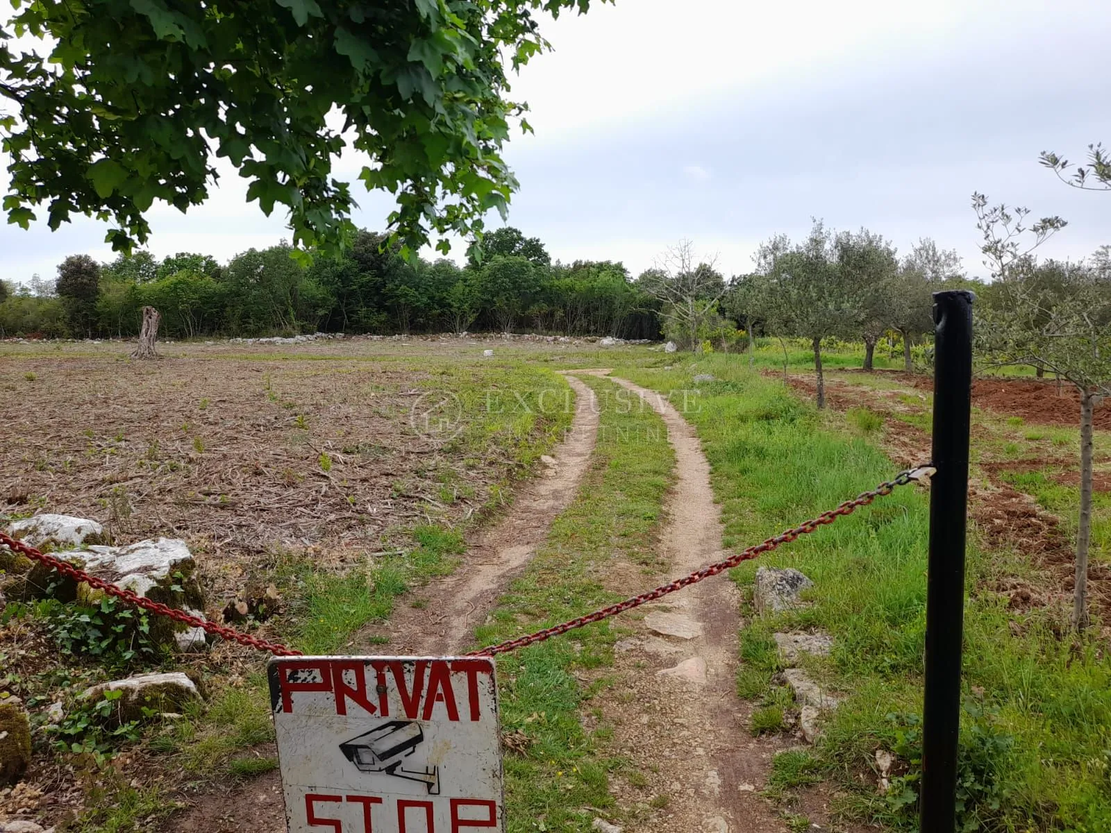 rovinj, poljoprivredno zemljište 10038 m2 - slika 11