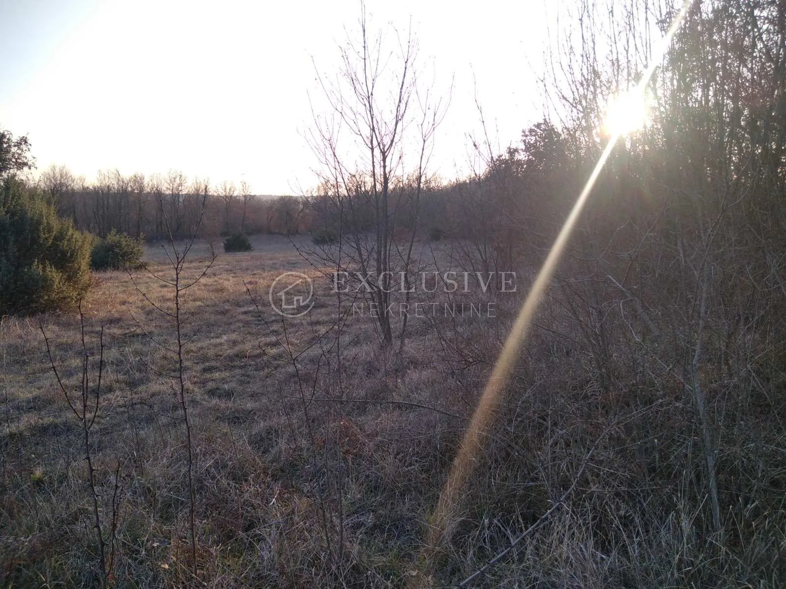 istra - valtura - poljoprivredno zemljište od 14500m2 - slika 4