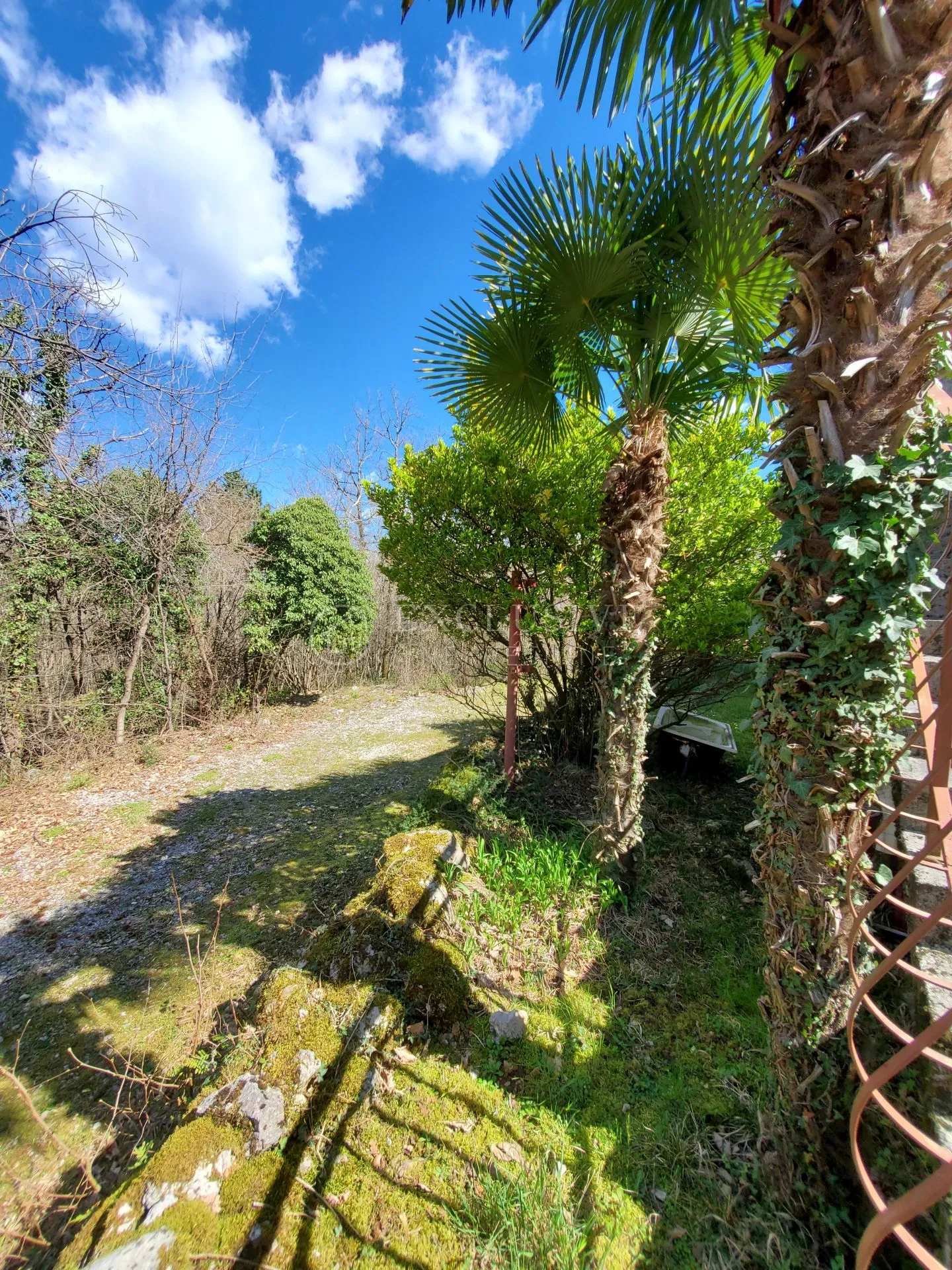 opatija - veprinac kuća s 240m2 i 2800m2 okućnice !! - slika 6