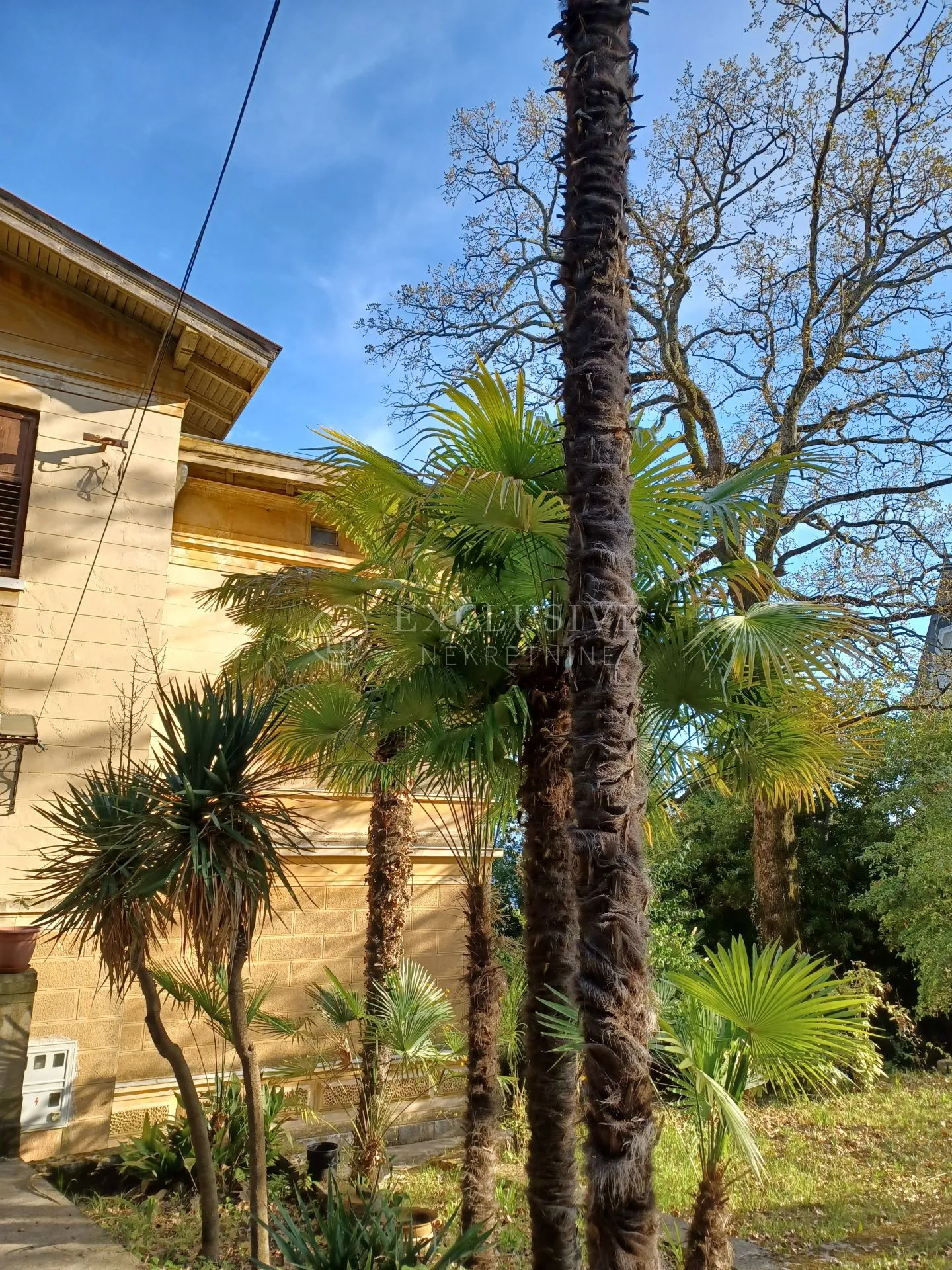 opatija - aristokratski stan 300m2 u austrougarskoj vili - 30m od mora - slika 7