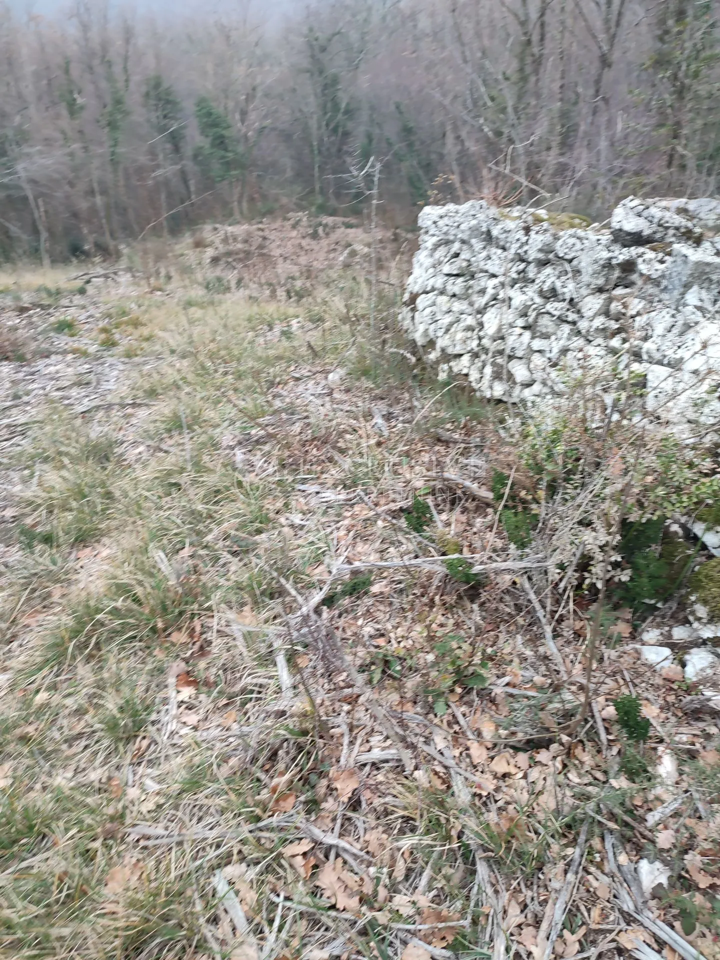 brseč - martina - očišćeno gradjevinsko zemljište od 4240m2 - slika 11