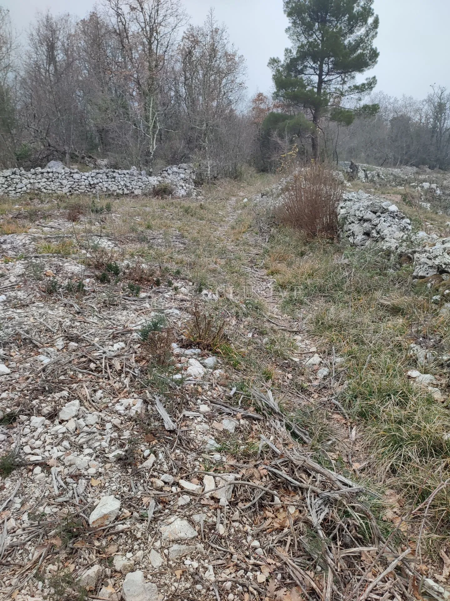 brseč - martina - očišćeno gradjevinsko zemljište od 4240m2 - slika 10