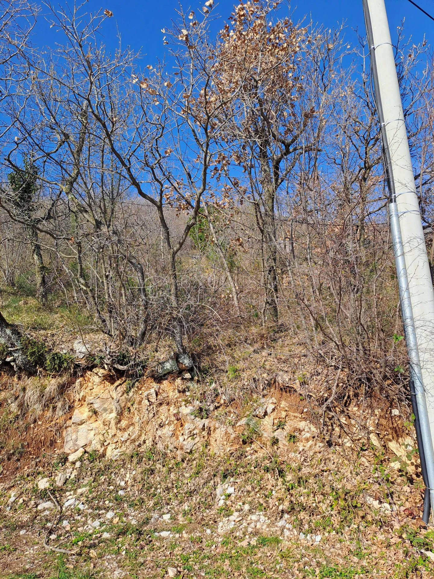 mošćenička draga, kalac, građevinsko zemljište 1830 m2 - slika 12