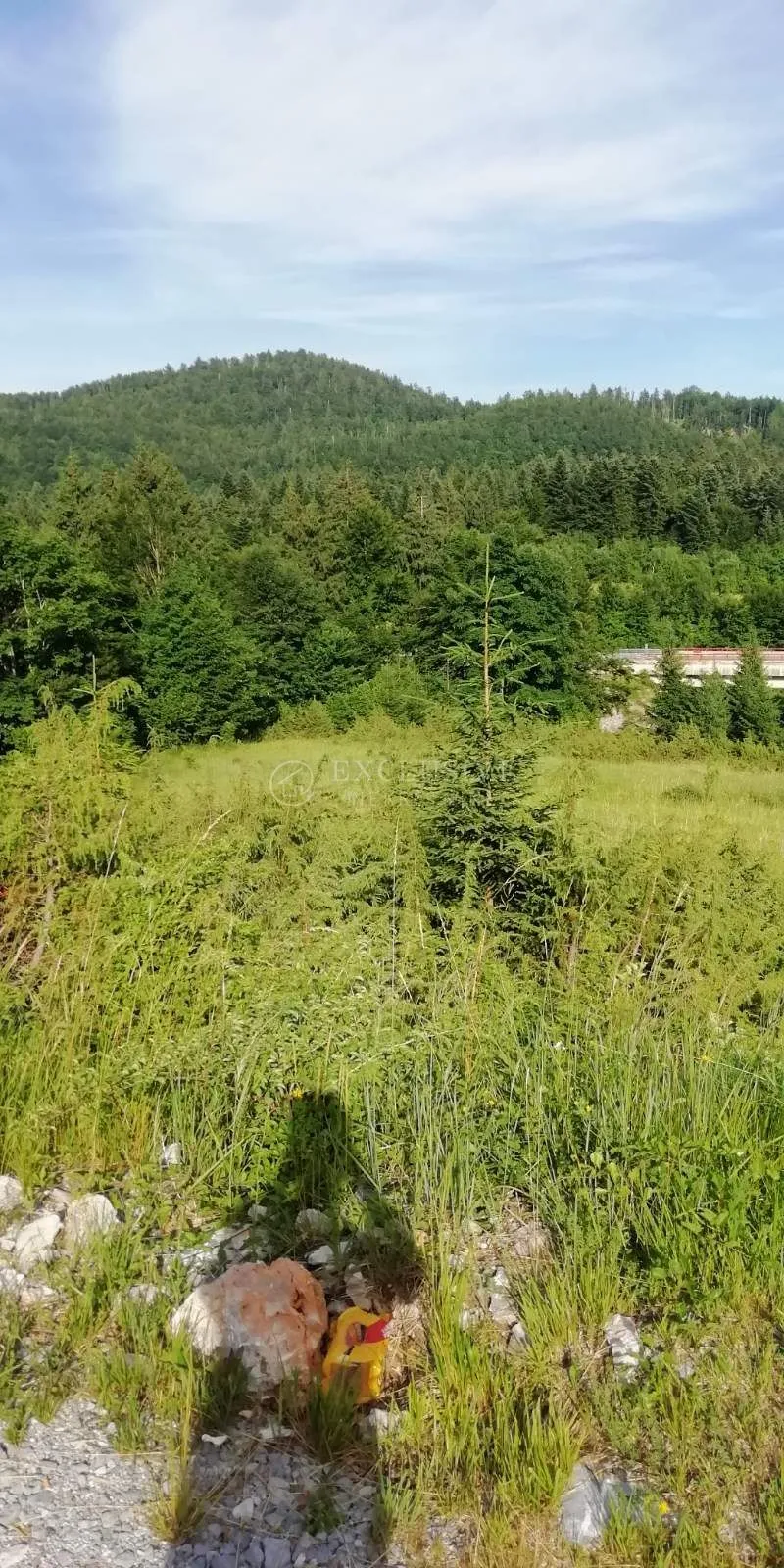 Poljoprivredno zemljište 5468m2 u Lokvama uz cestu - Lokve