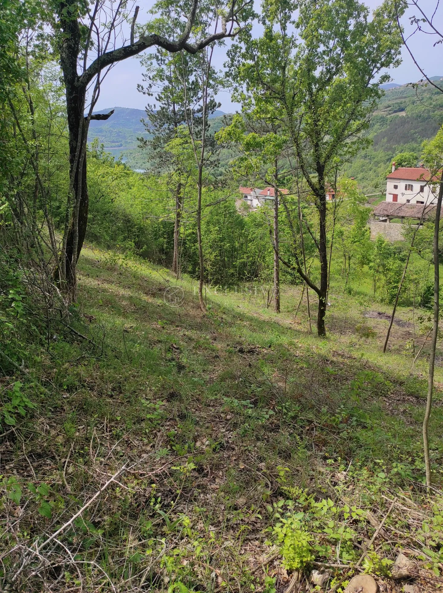 Istra - Teren U Građevnoj Zoni - Marčenegla, Buzet