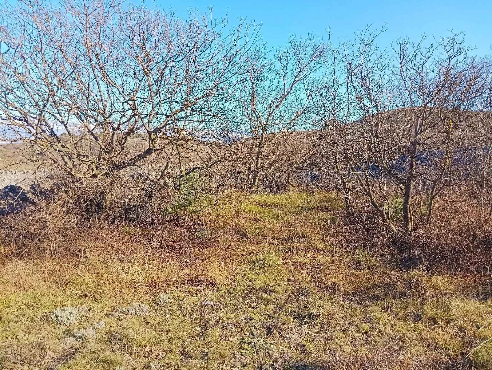 otok krk, vrbnik - građevinsko zemljište s pogledom na more - slika 3